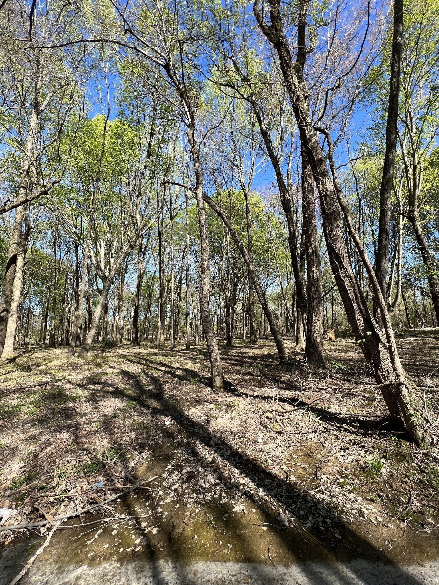 Photo of Listing #3033002