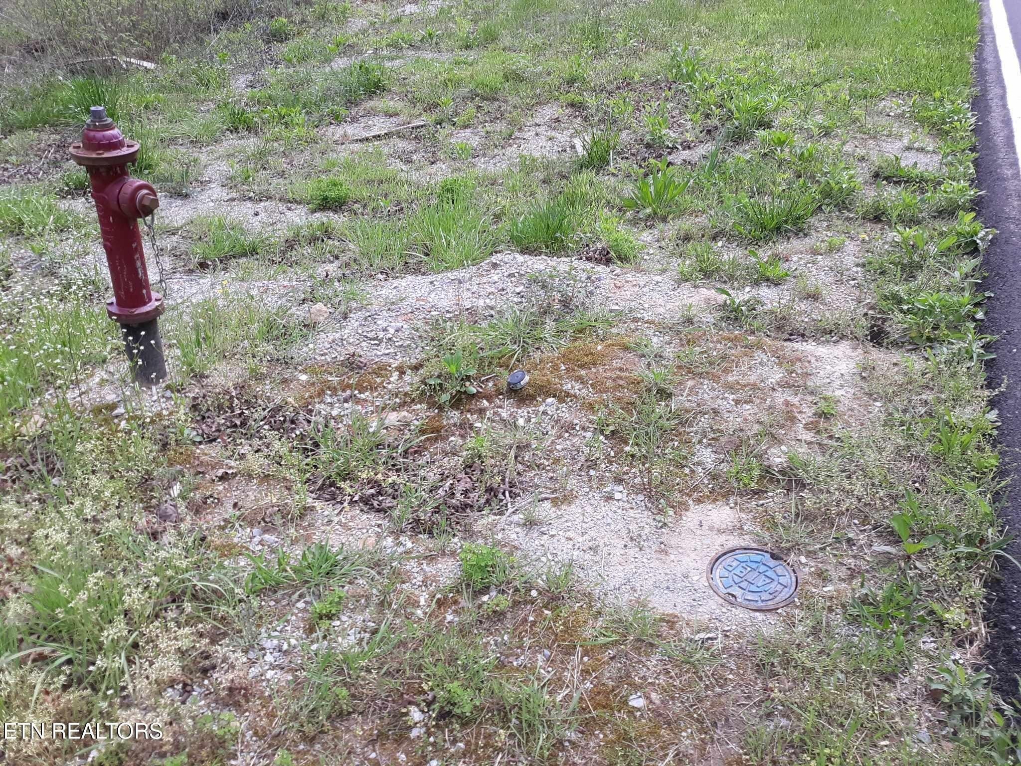 Photo of Listing #3033042