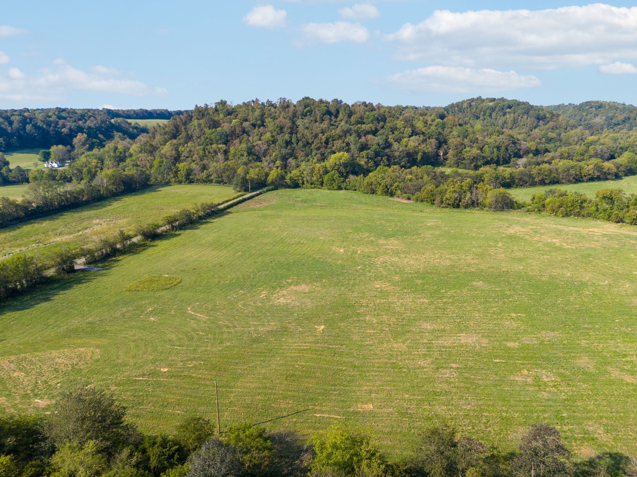 Photo of Listing #3033085