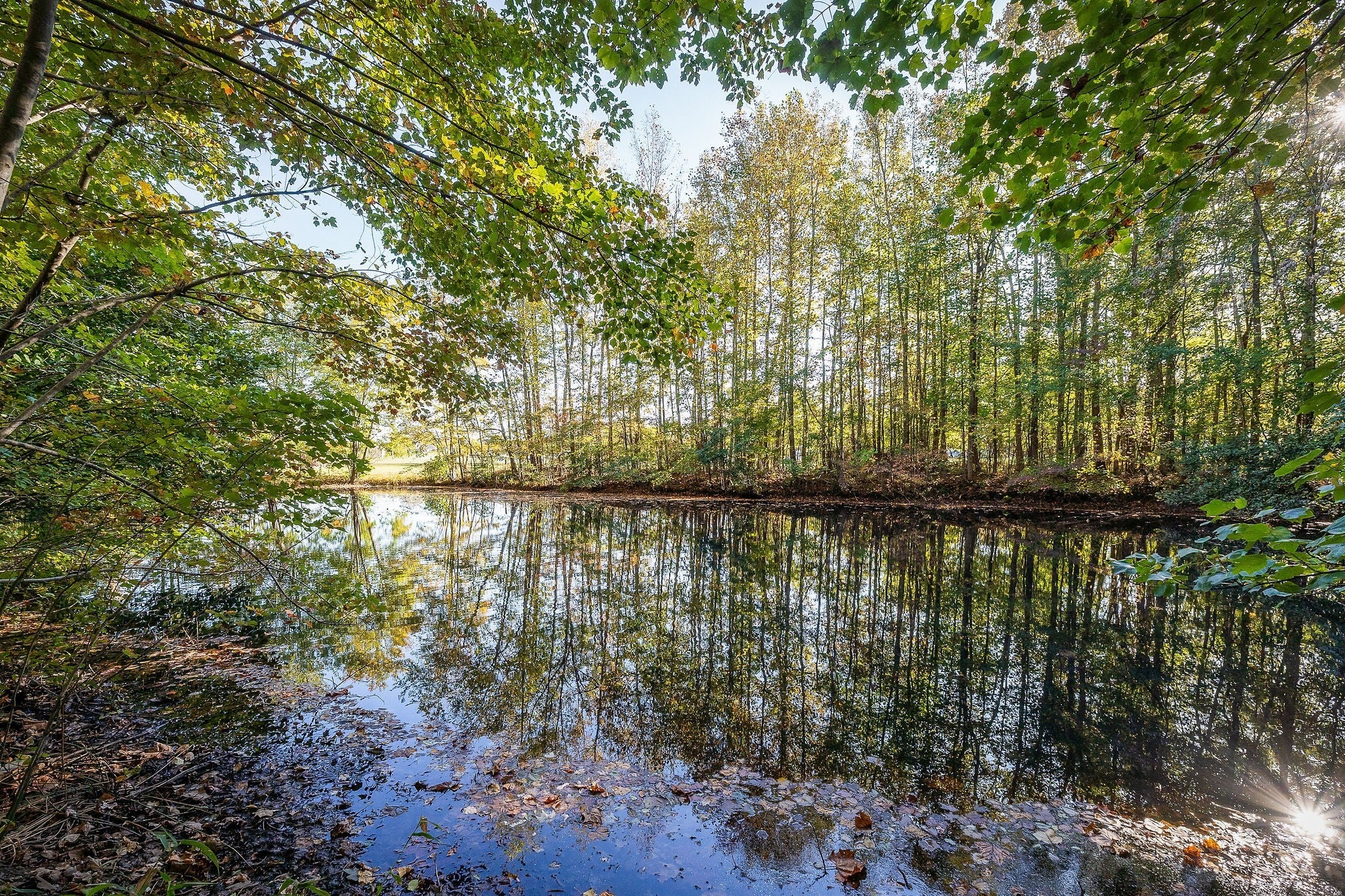 Photo of Listing #3033432