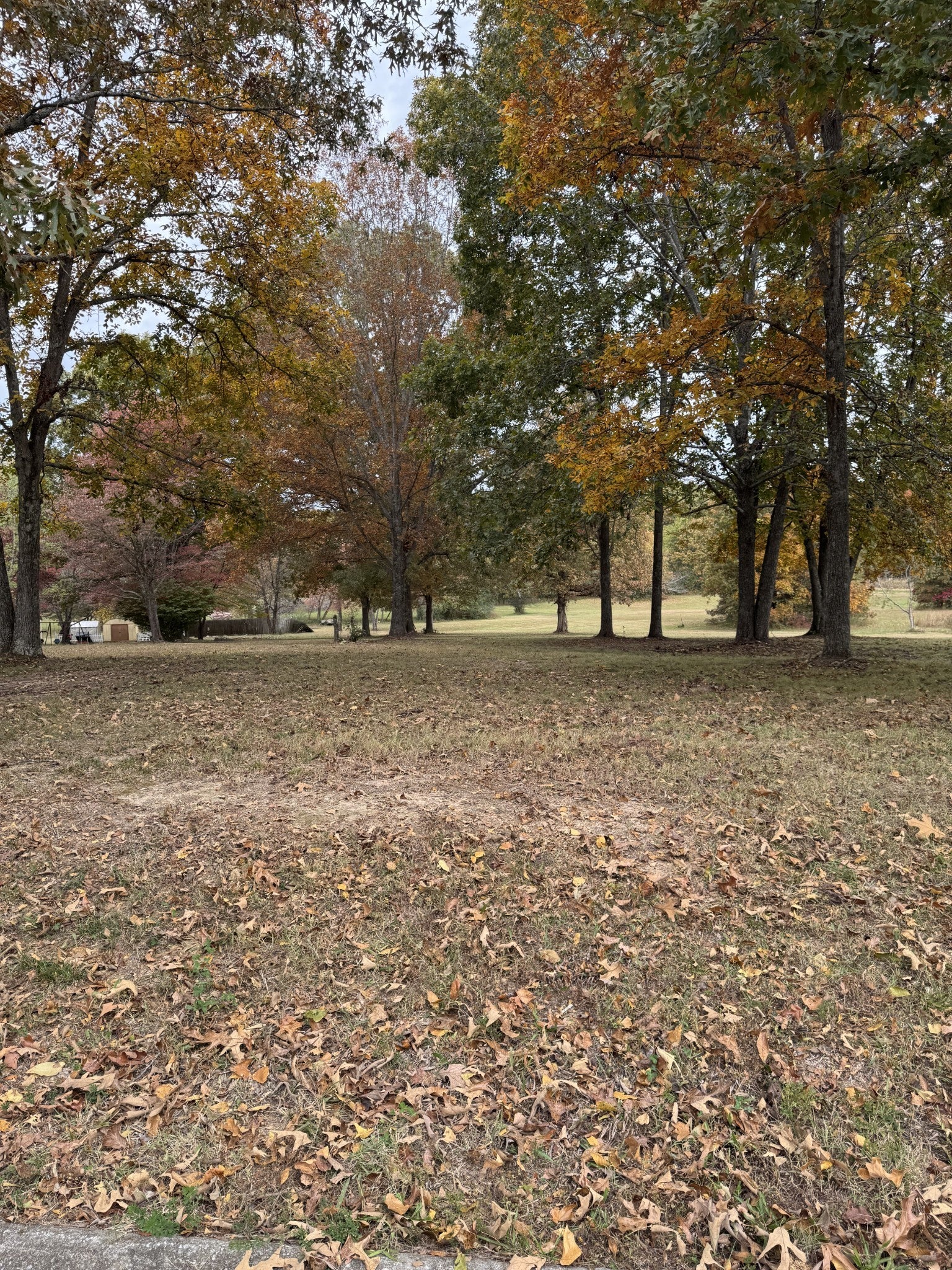 Photo of Listing #3033550