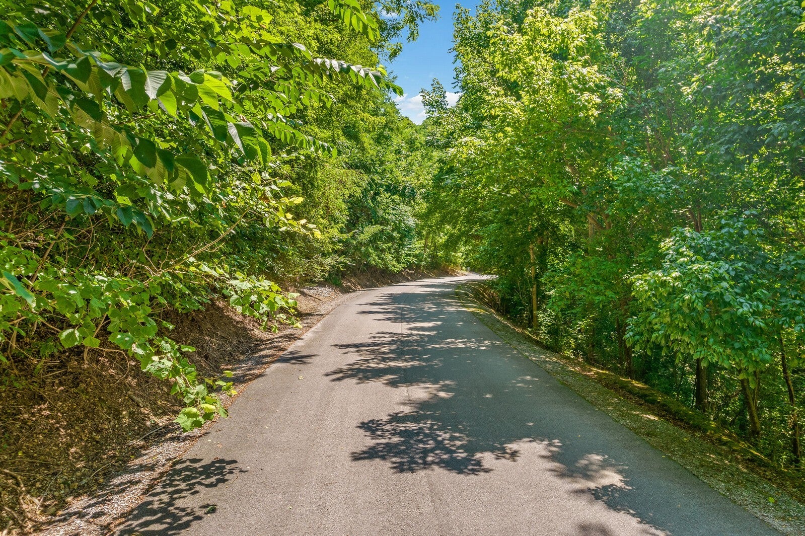 Photo of Listing #3033669