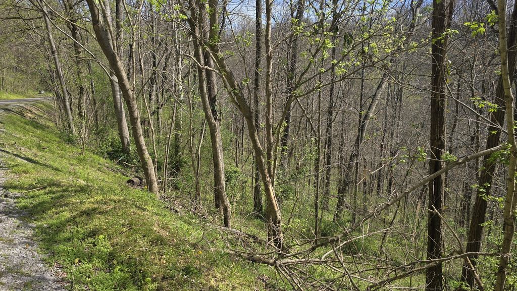 2 Shoreside Dr, Smithville