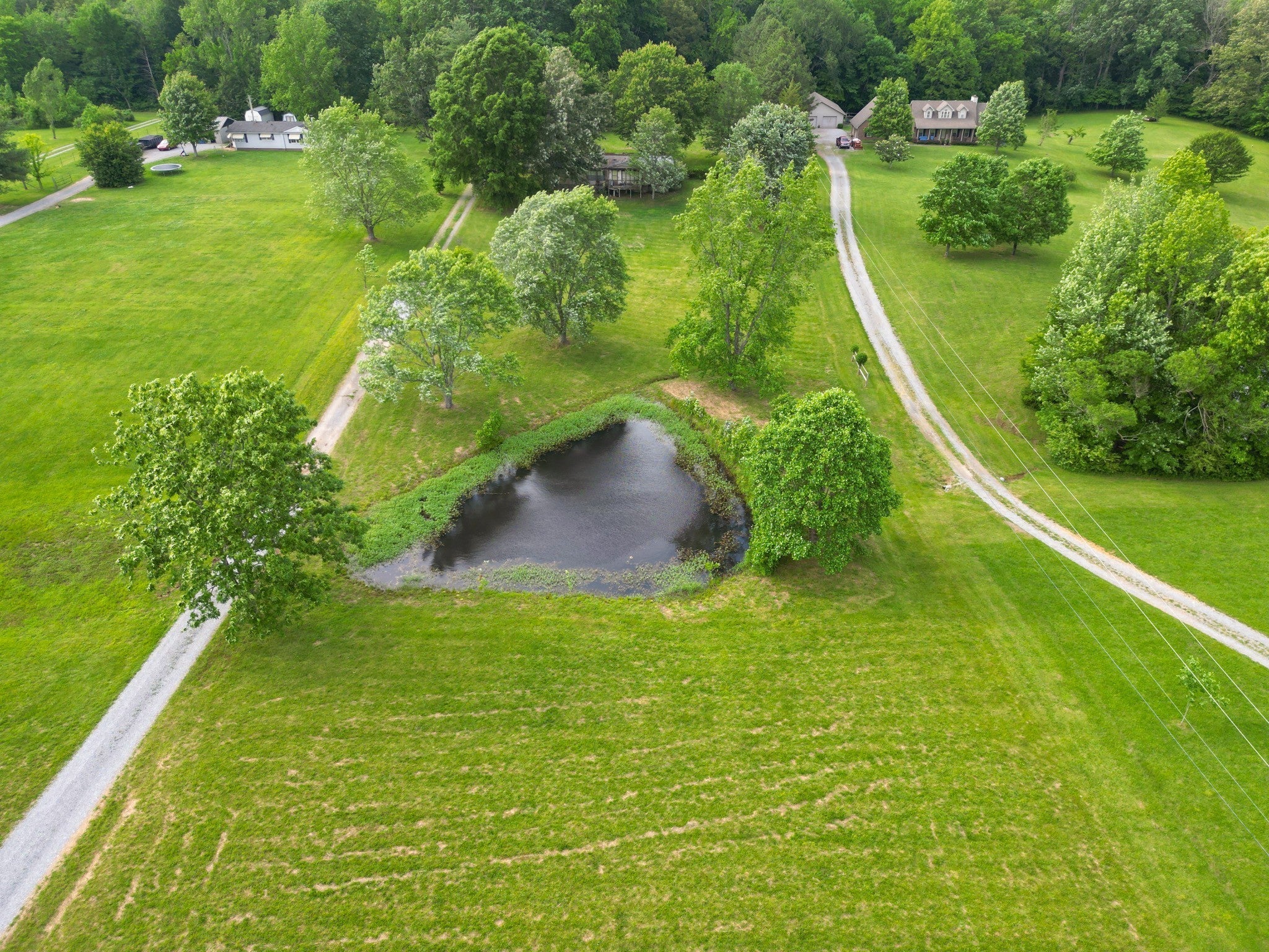 Photo of Listing #3033683