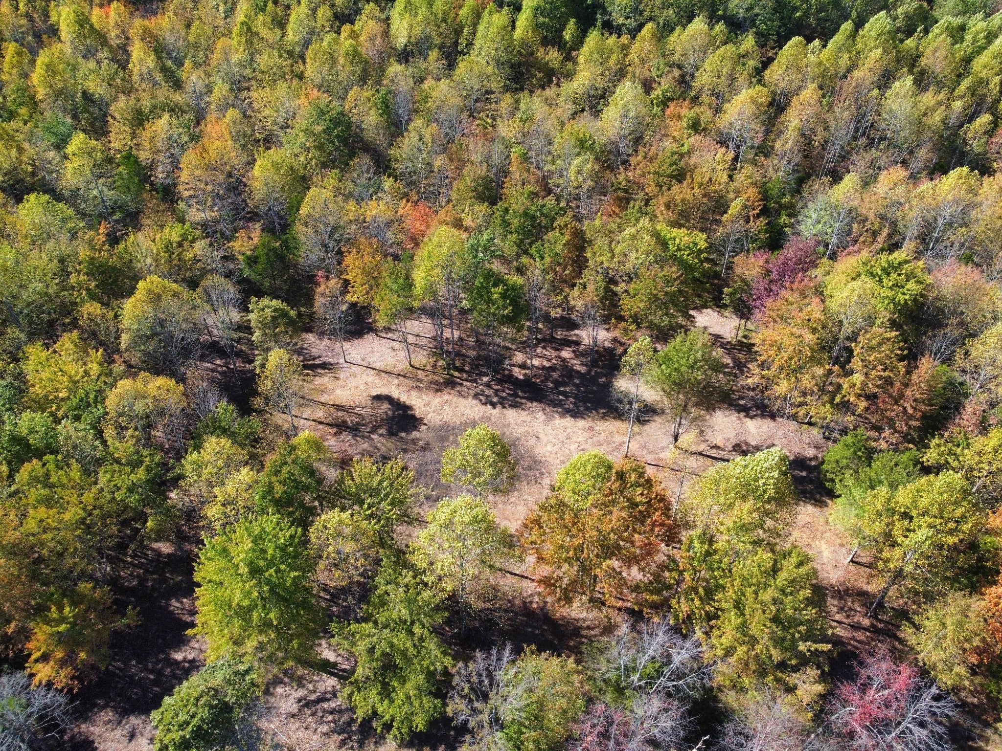 Photo of Listing #3033684