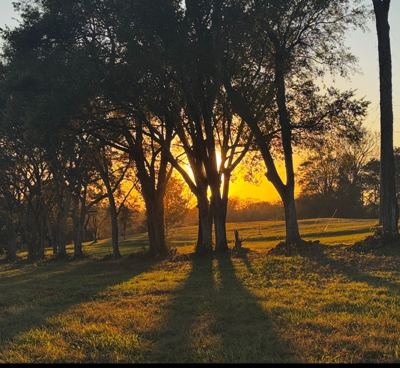 Photo of Listing #3033710