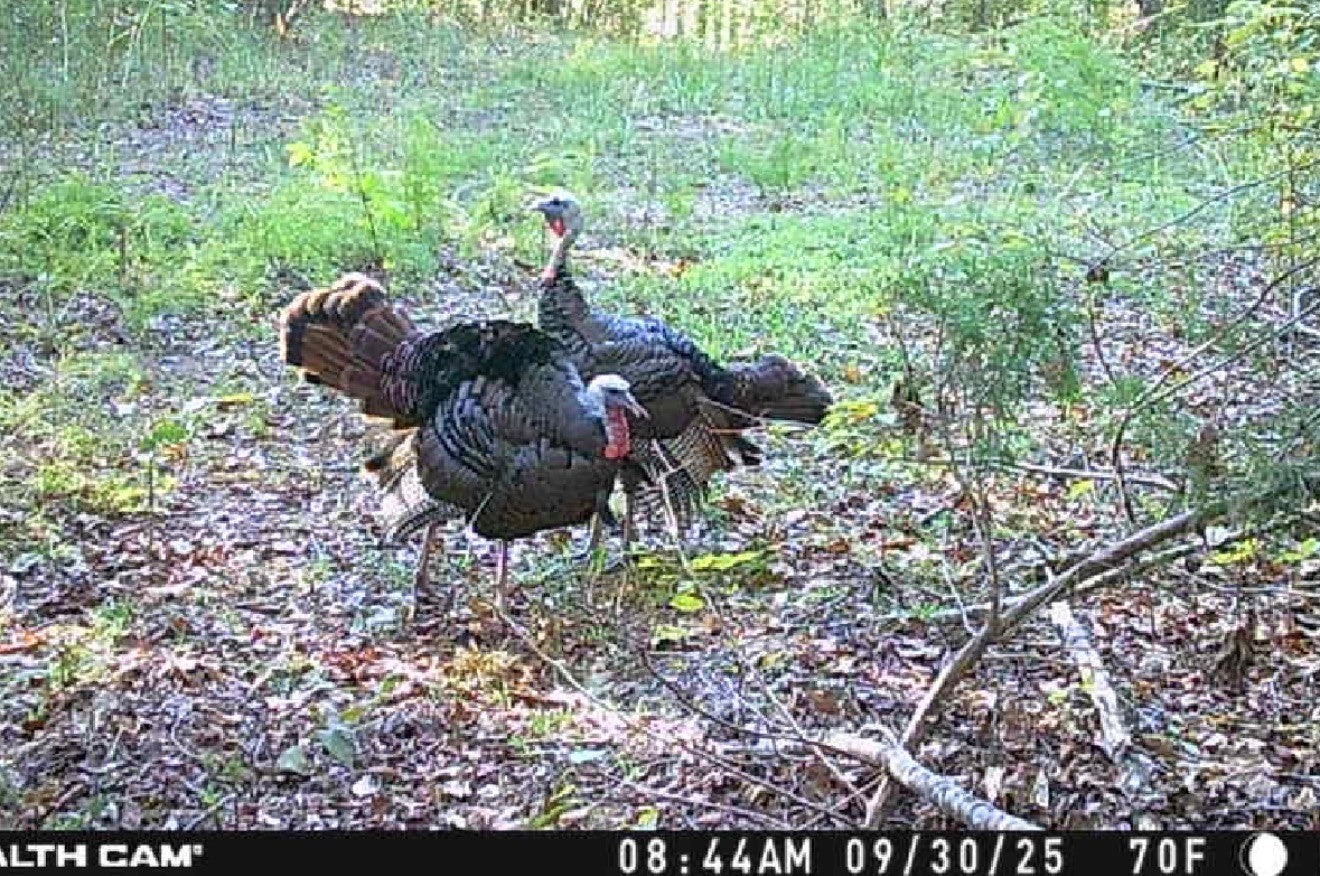 Photo of Listing #3033803