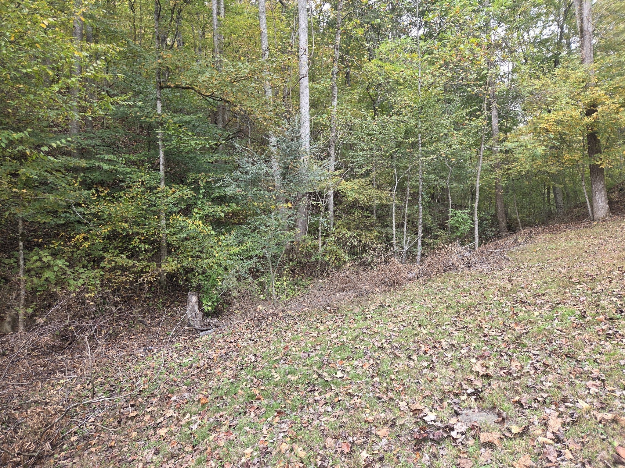 Photo of Listing #3033949