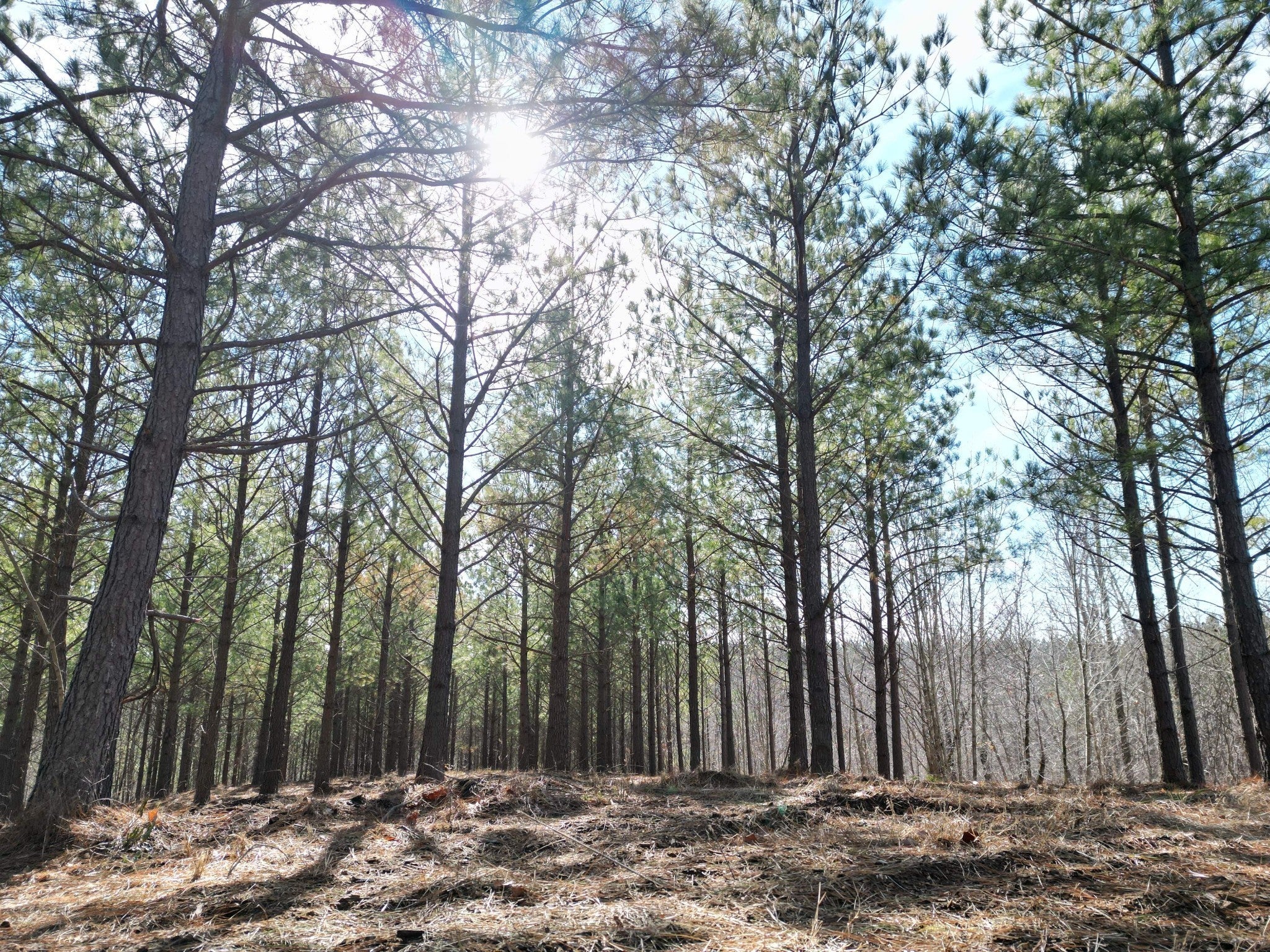 Photo of Listing #3034022