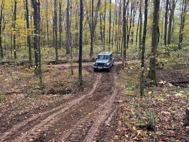 Photo of Listing #3034041