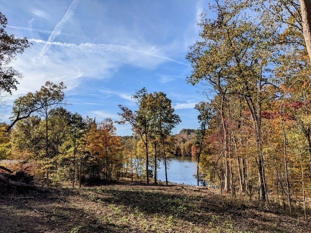 Photo of Listing #3034087