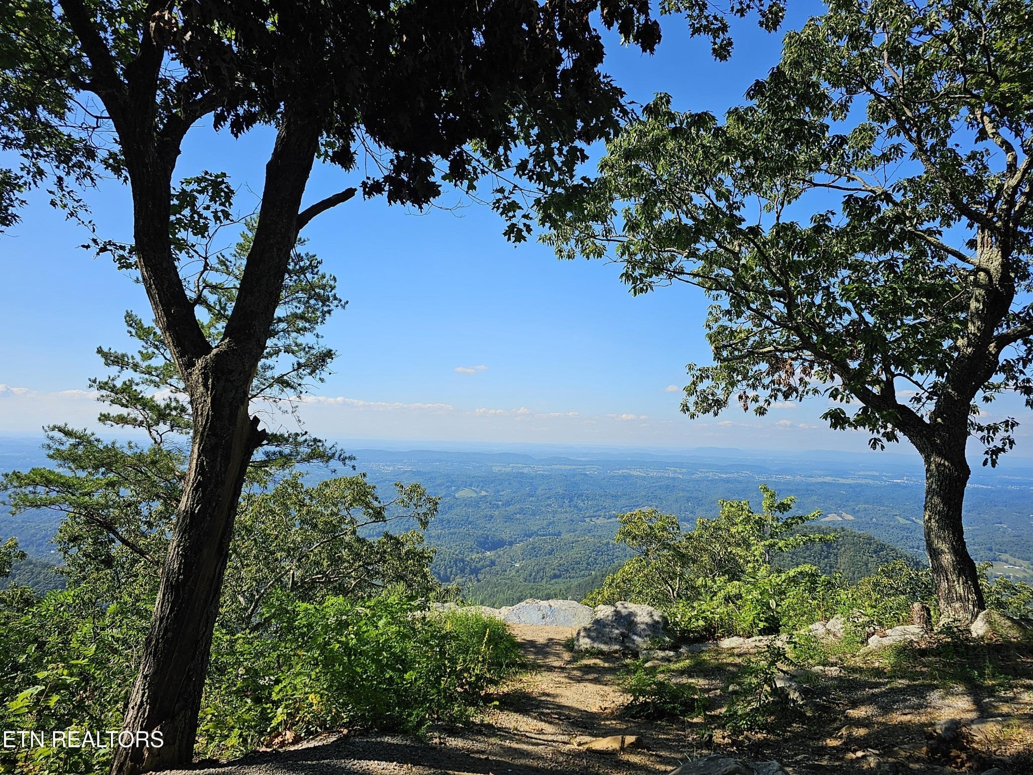 Photo of Listing #3034747