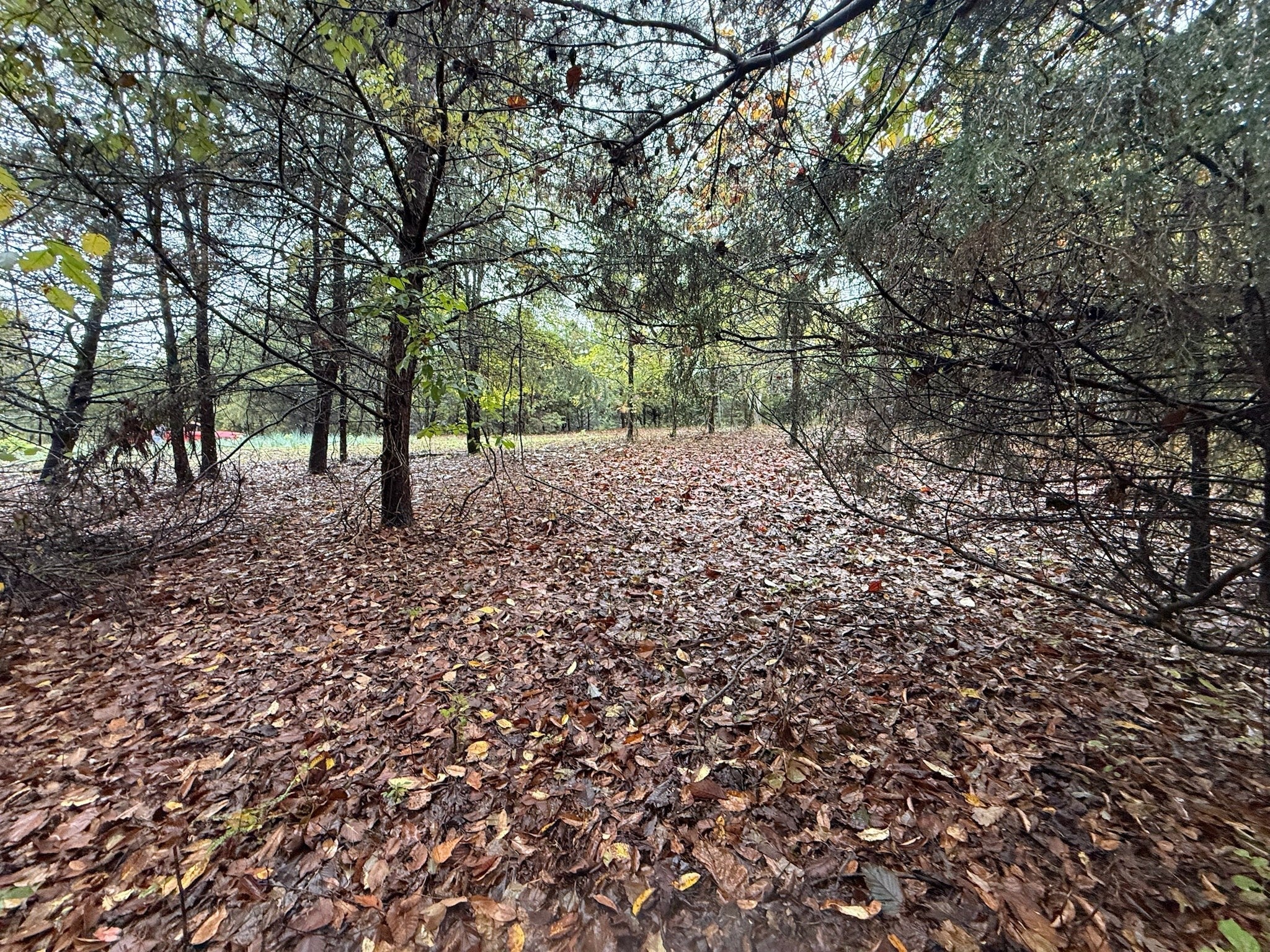 Photo of Listing #3035217