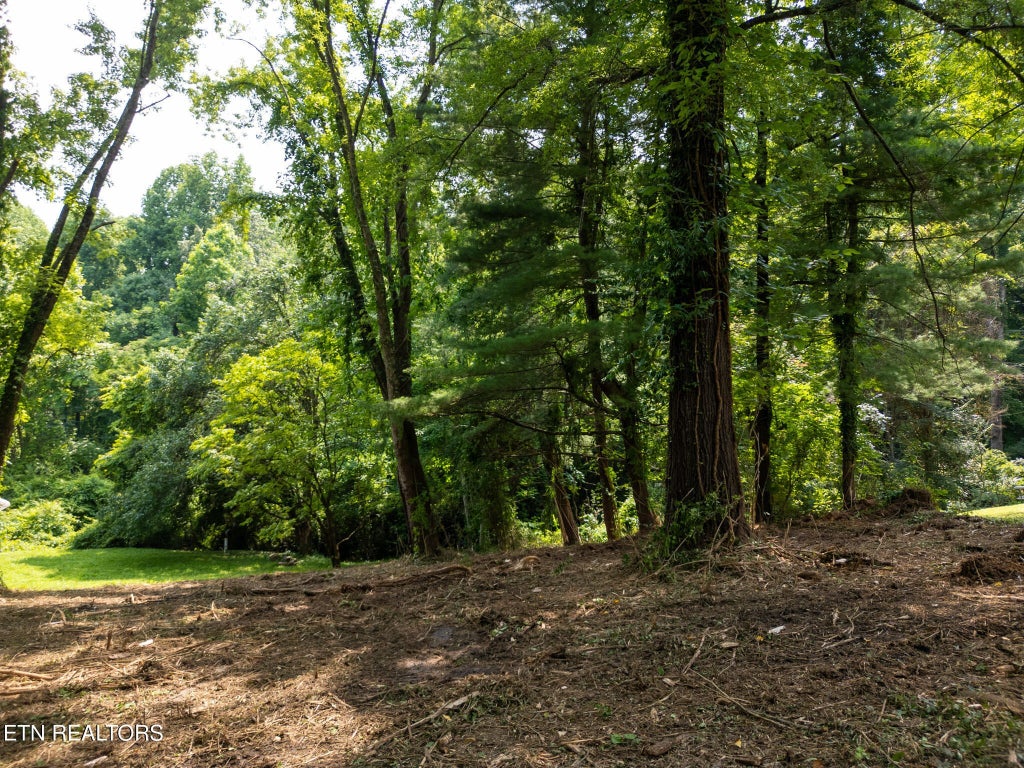 107 Jay Lane, Oak Ridge