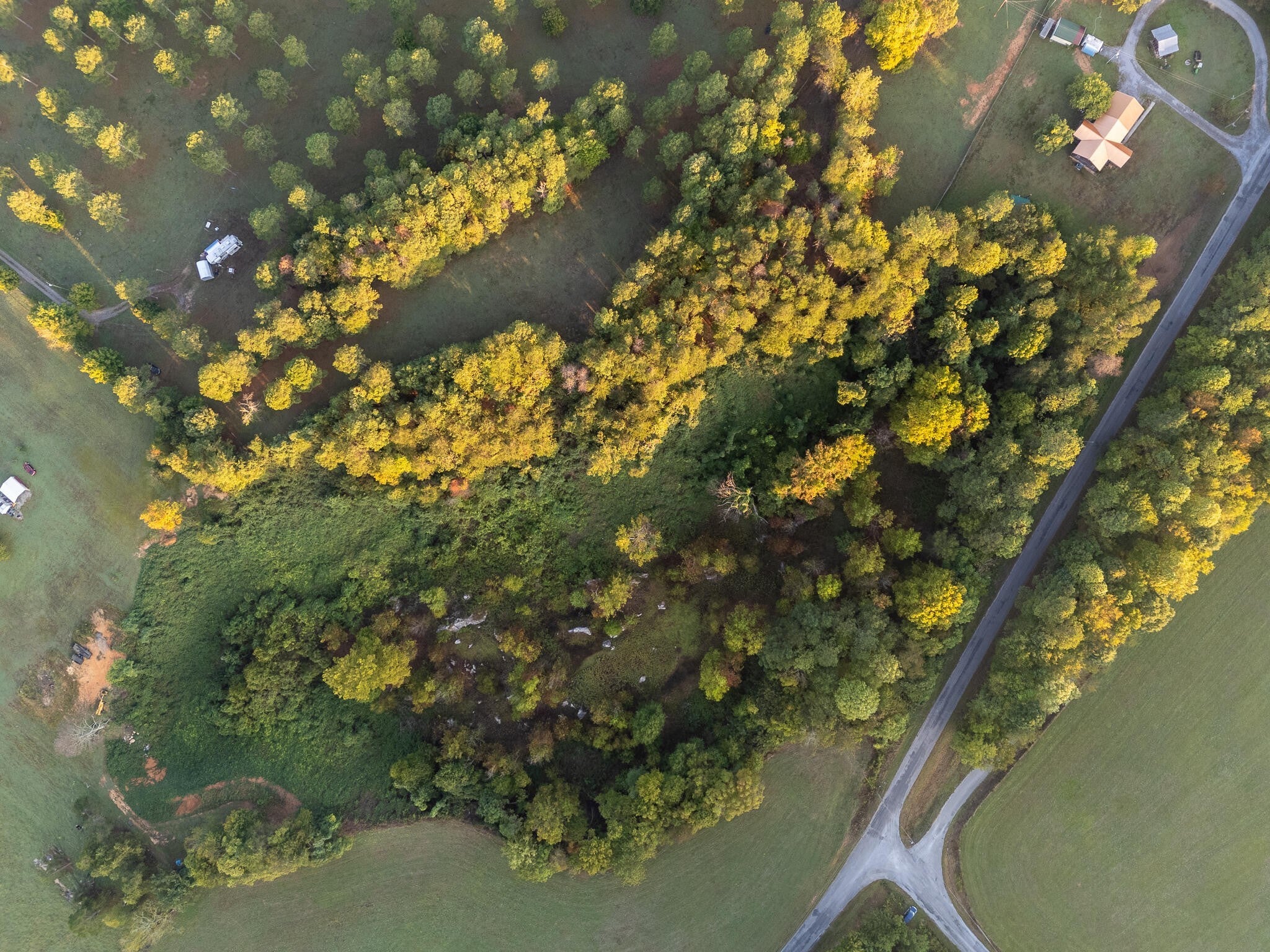 Photo of Listing #3035526