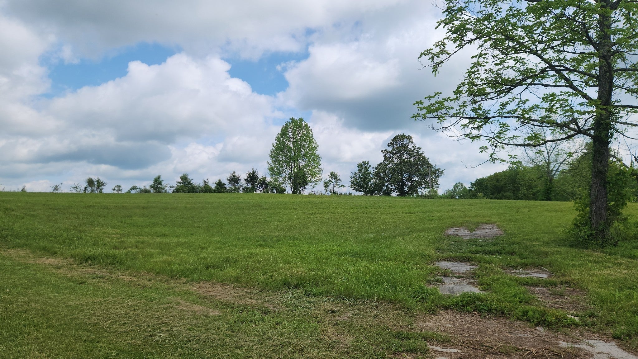 Photo of Listing #3035759