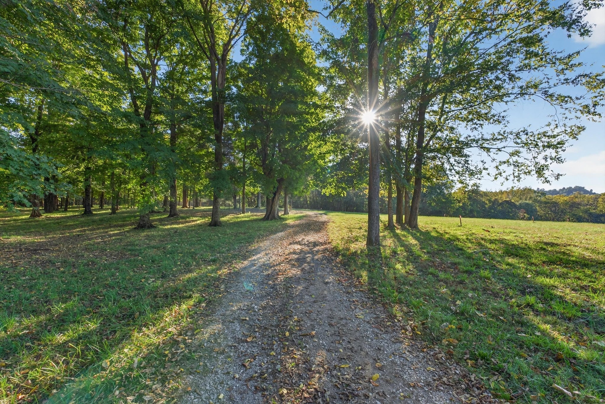 Photo of Listing #3035788