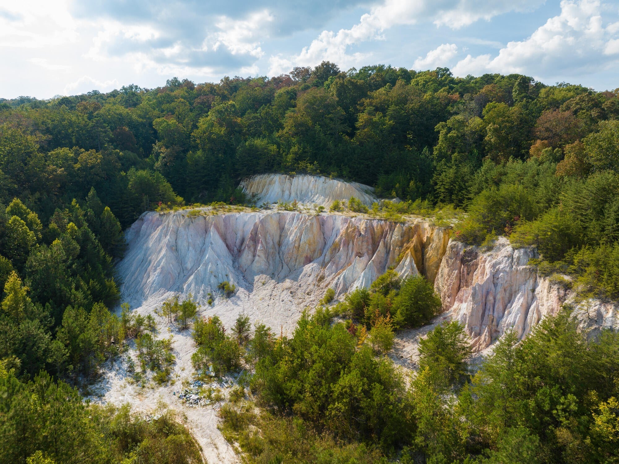 Photo of Listing #3035902