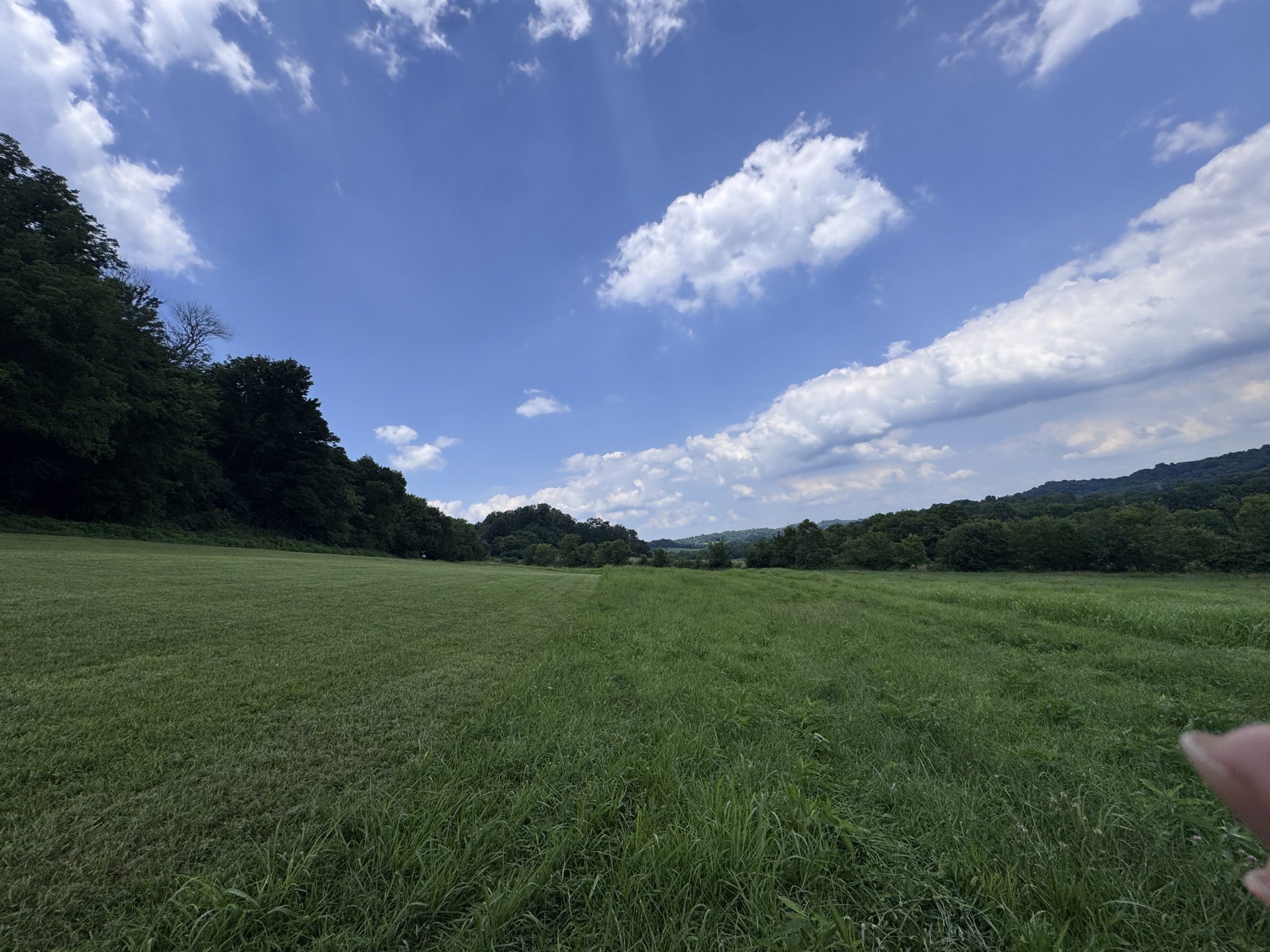 Photo of Listing #3035974