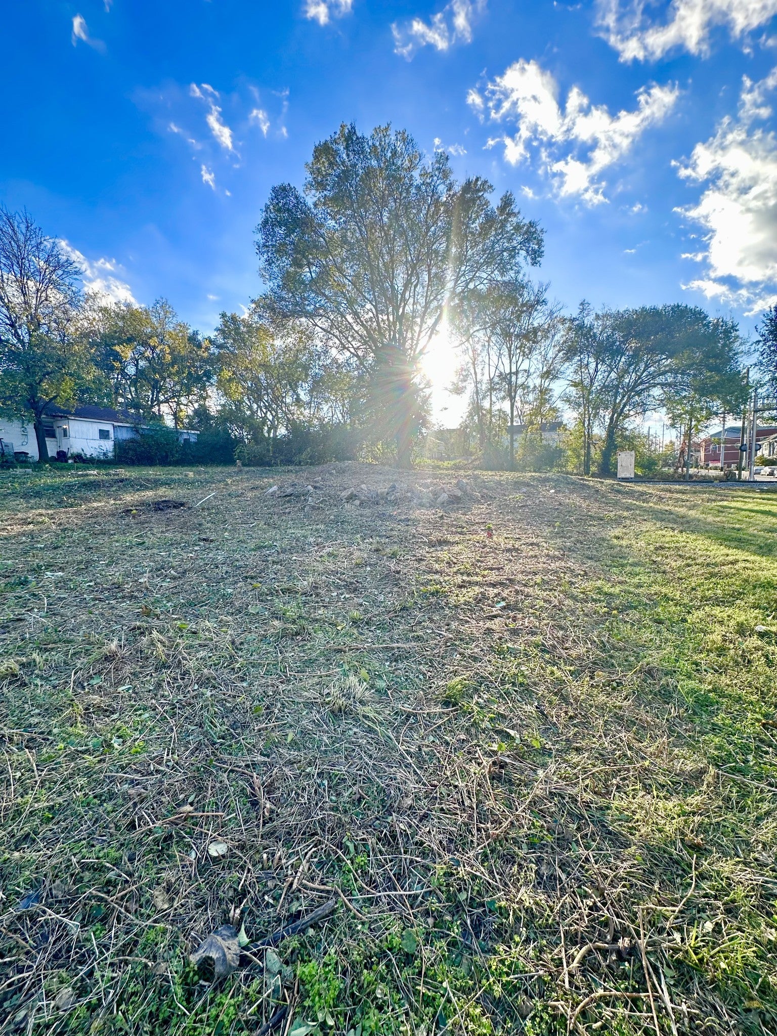 Photo of Listing #3036178