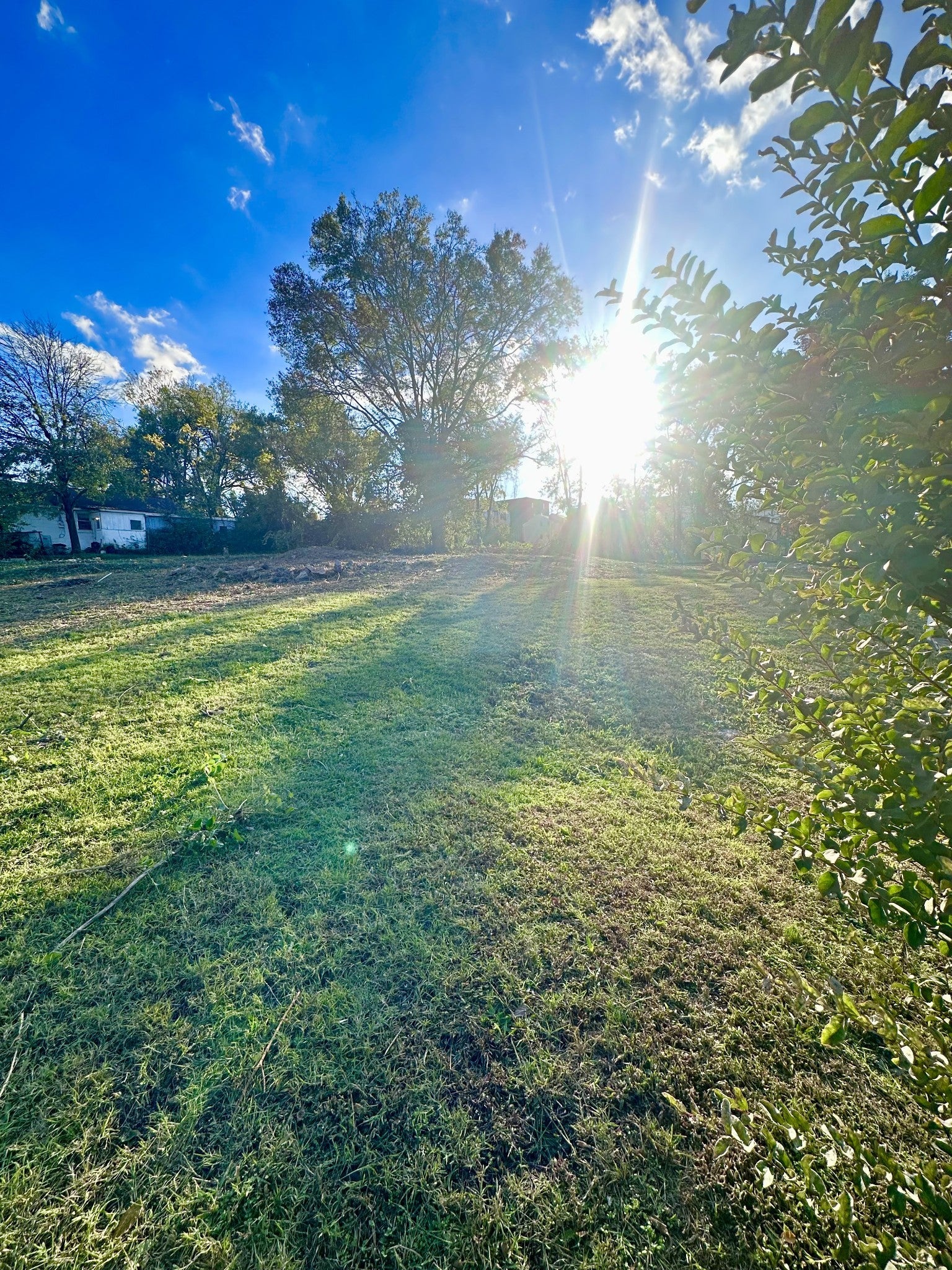 Photo of Listing #3036179