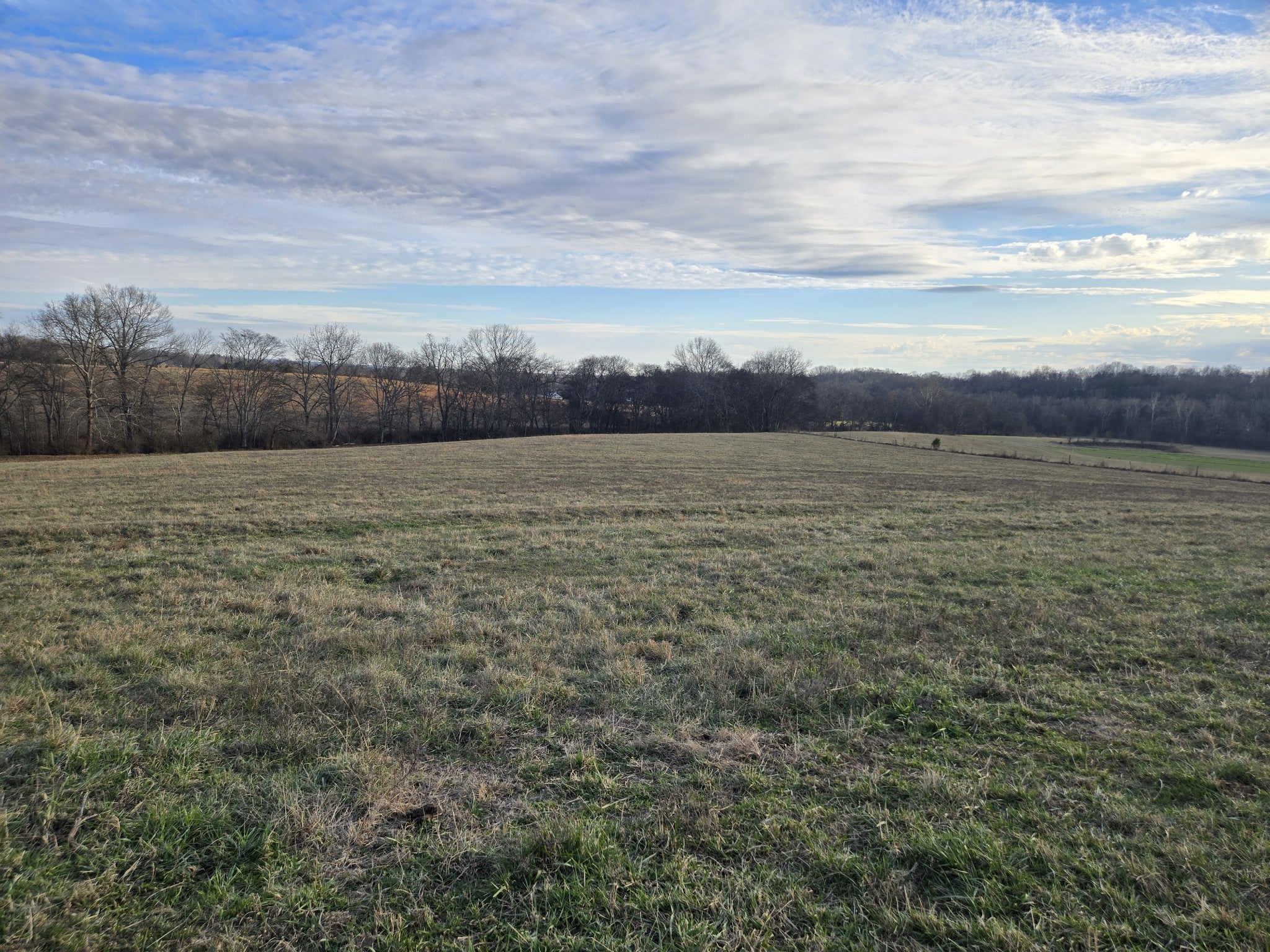 Photo of Listing #3037262