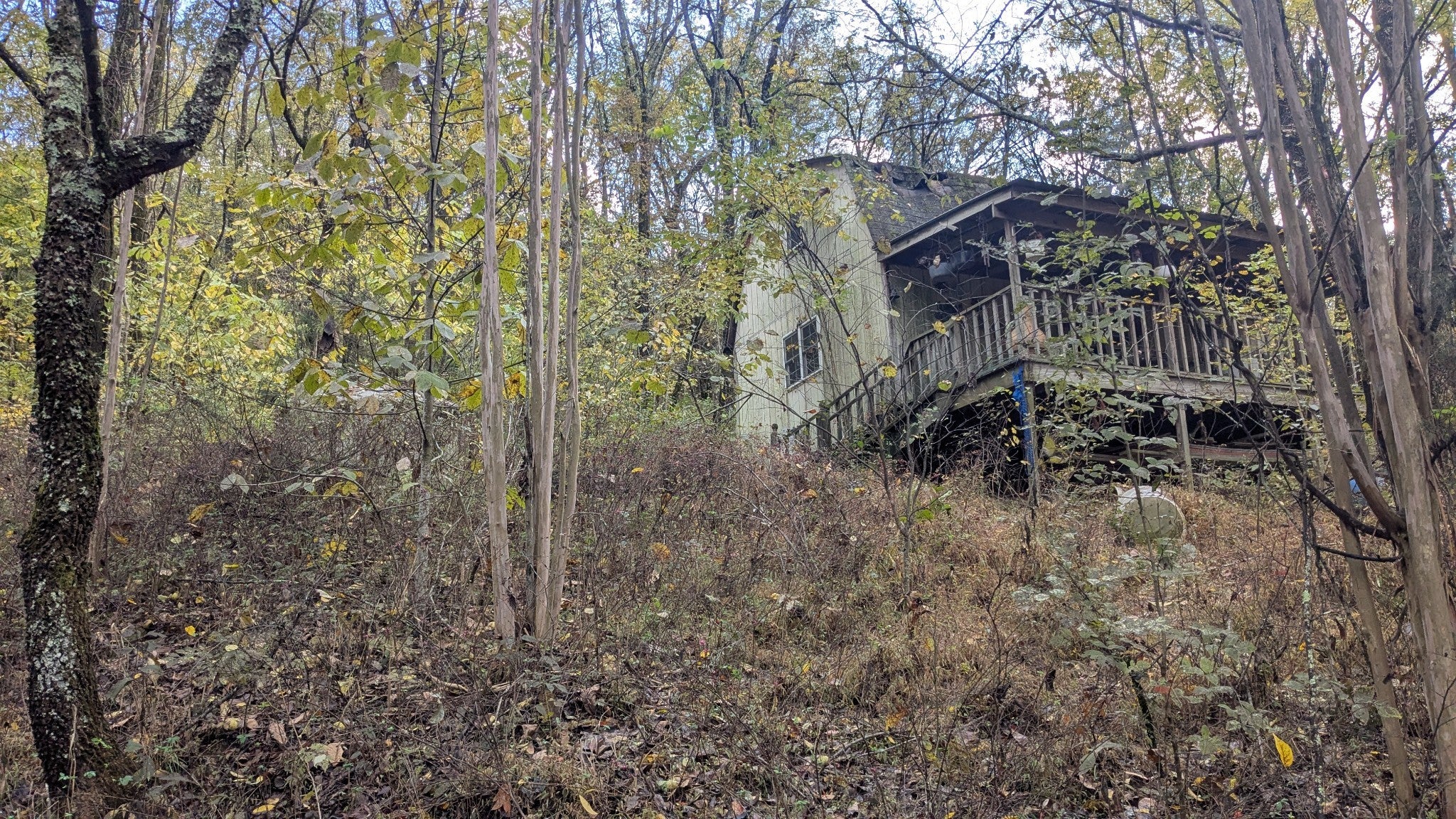 Photo of Listing #3037462