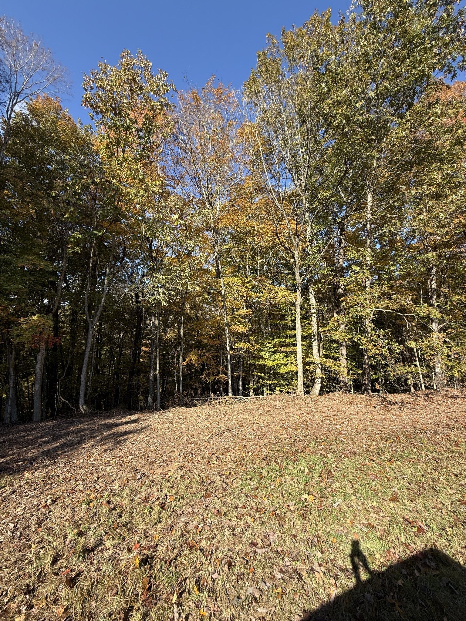 Photo of Listing #3037807