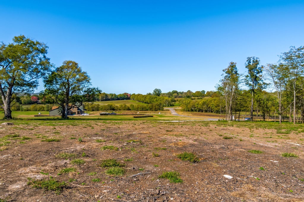 4021 Baileys Cove Ct, Franklin