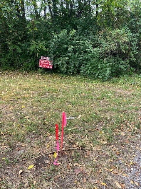 Photo of Listing #3038035