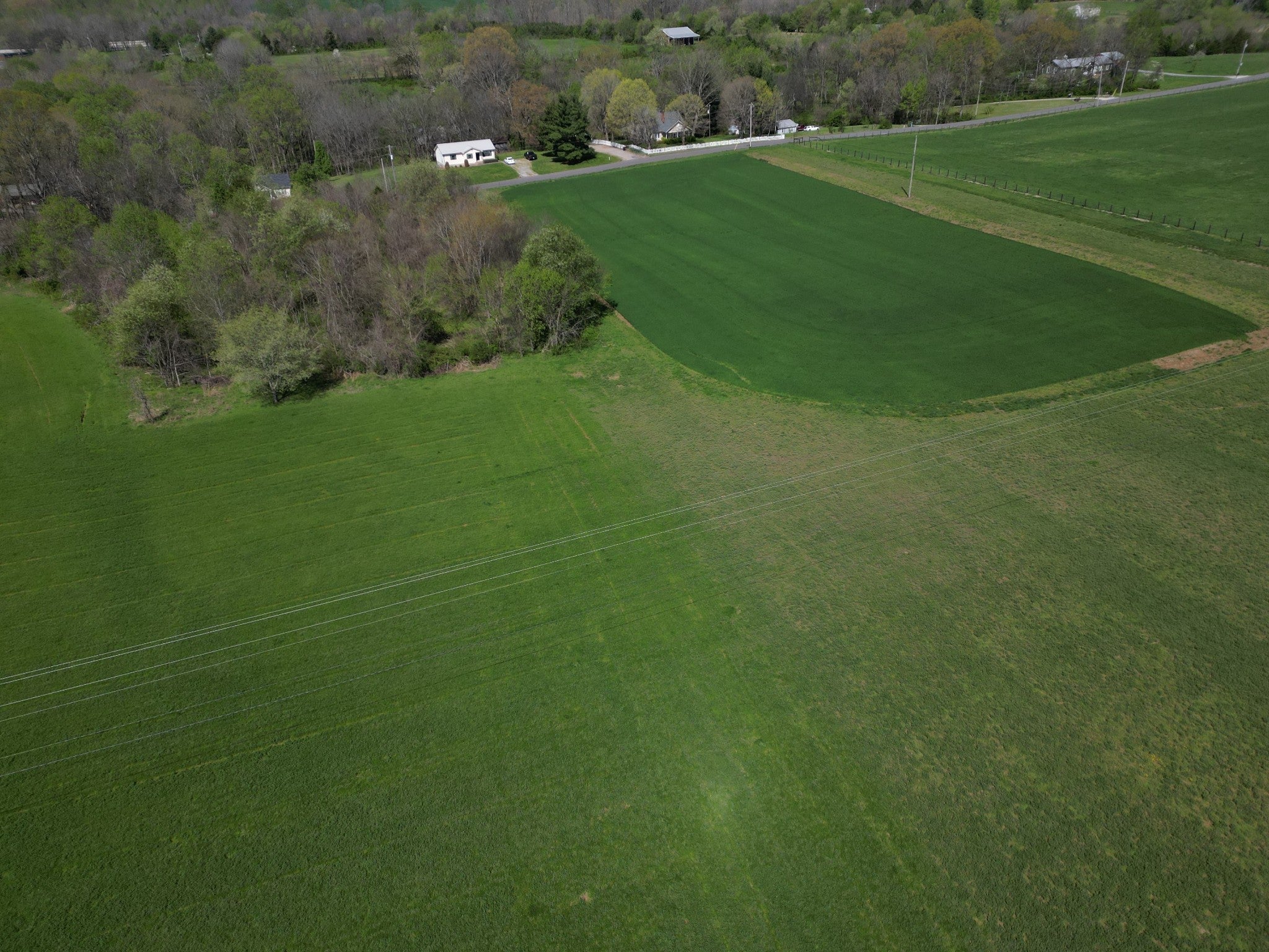 Photo of Listing #3038113