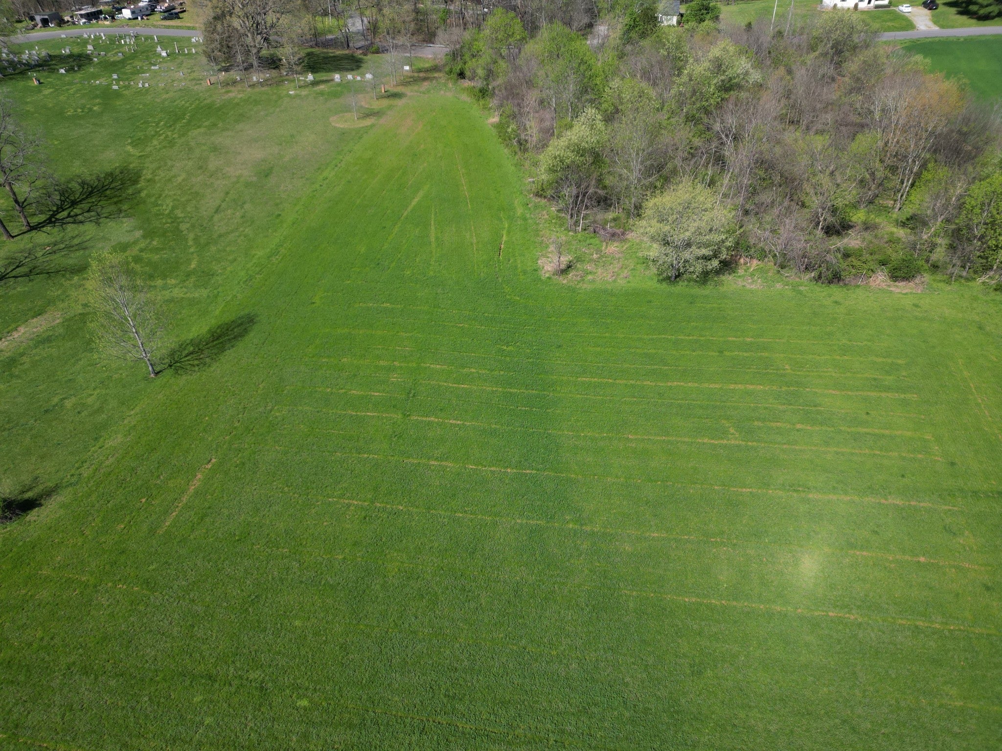 Photo of Listing #3038115