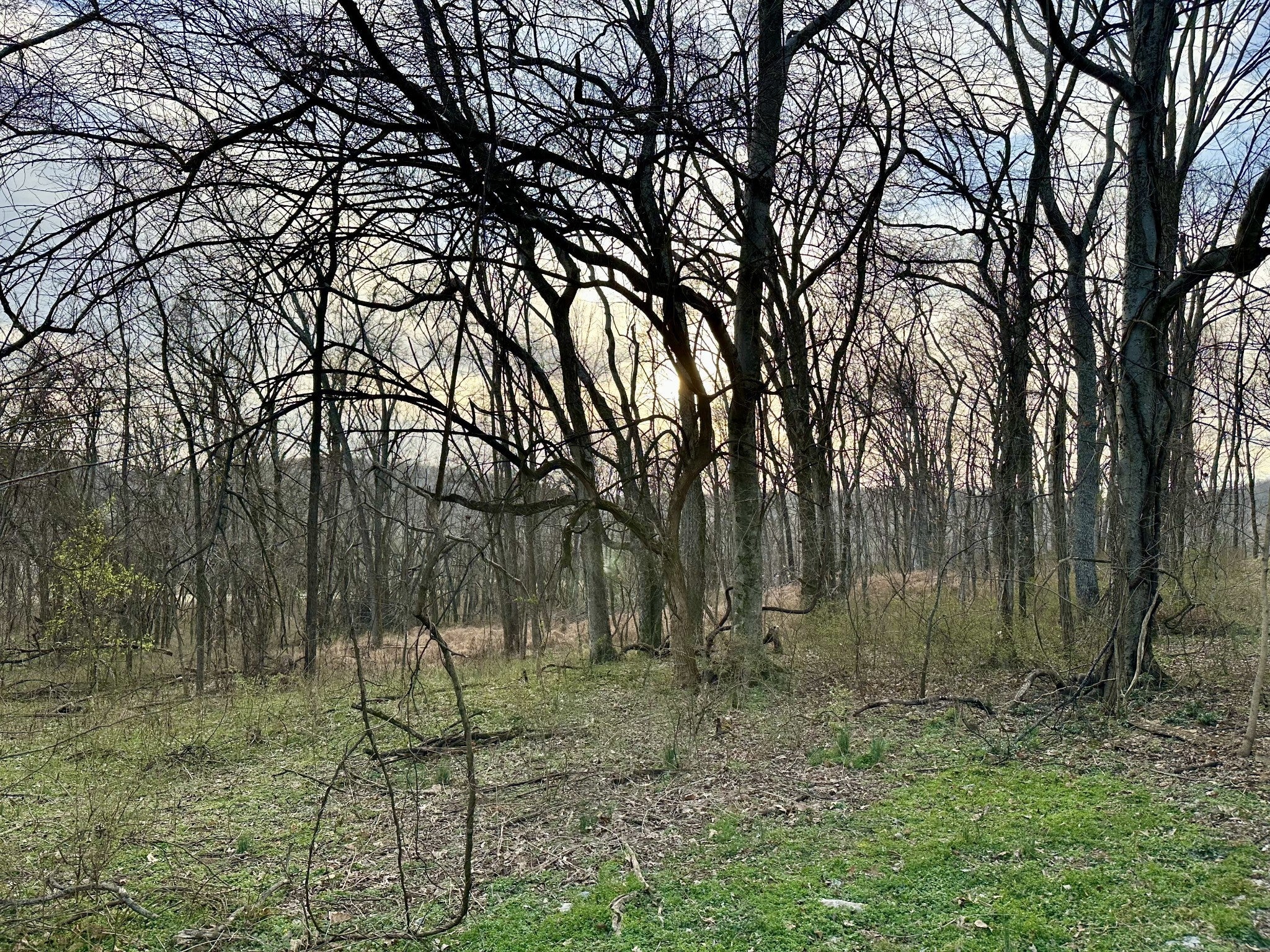 Photo of Listing #3038197