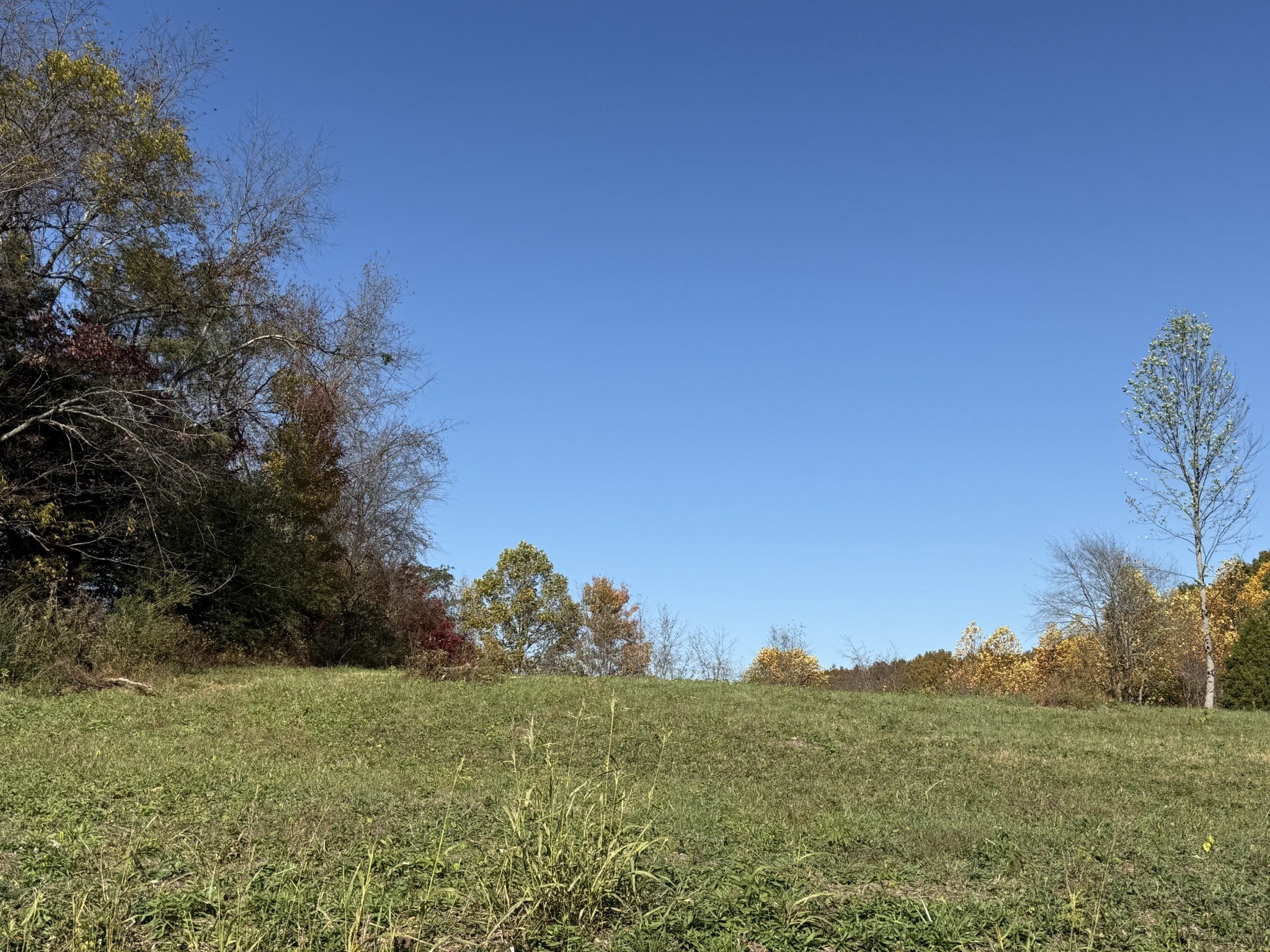 Photo of Listing #3038881