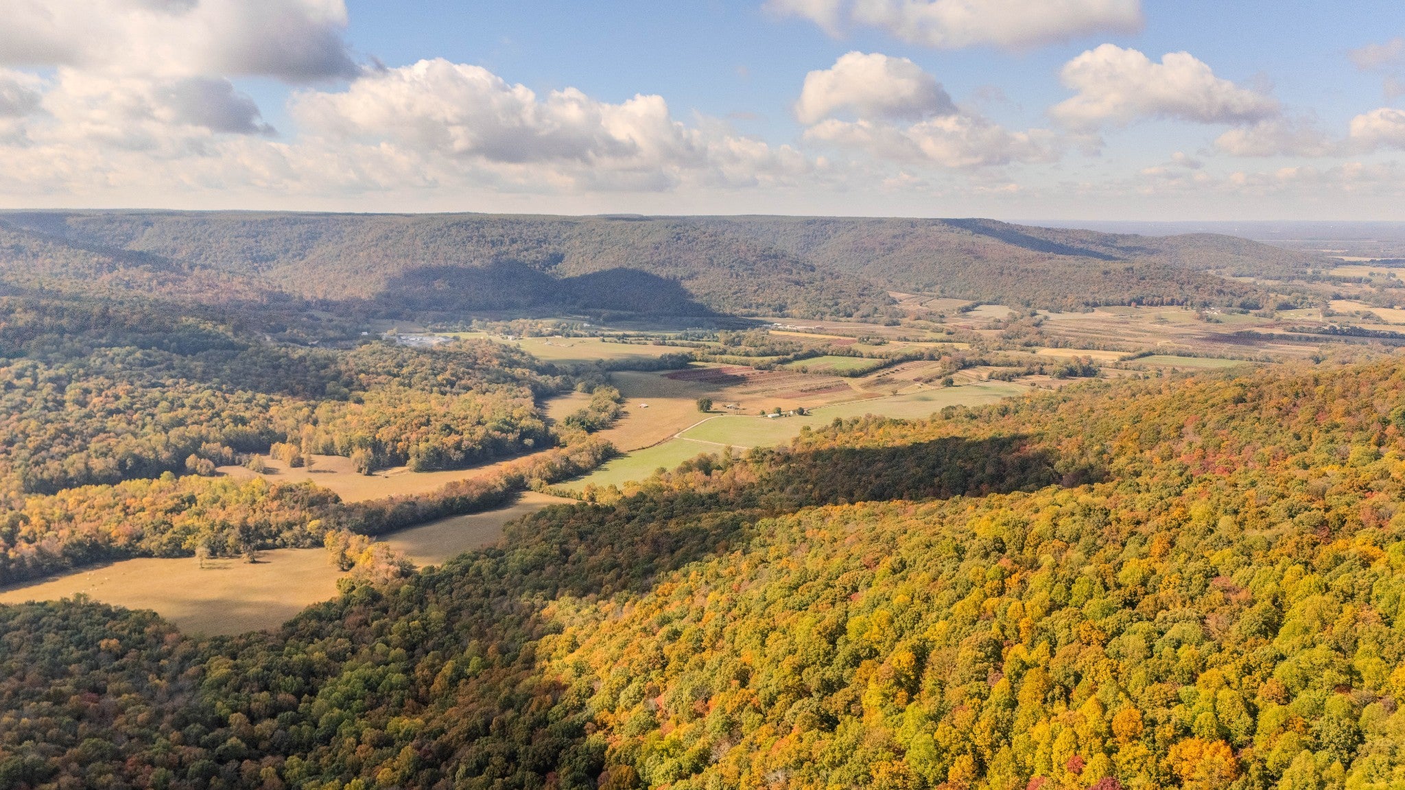 Photo of Listing #3038919