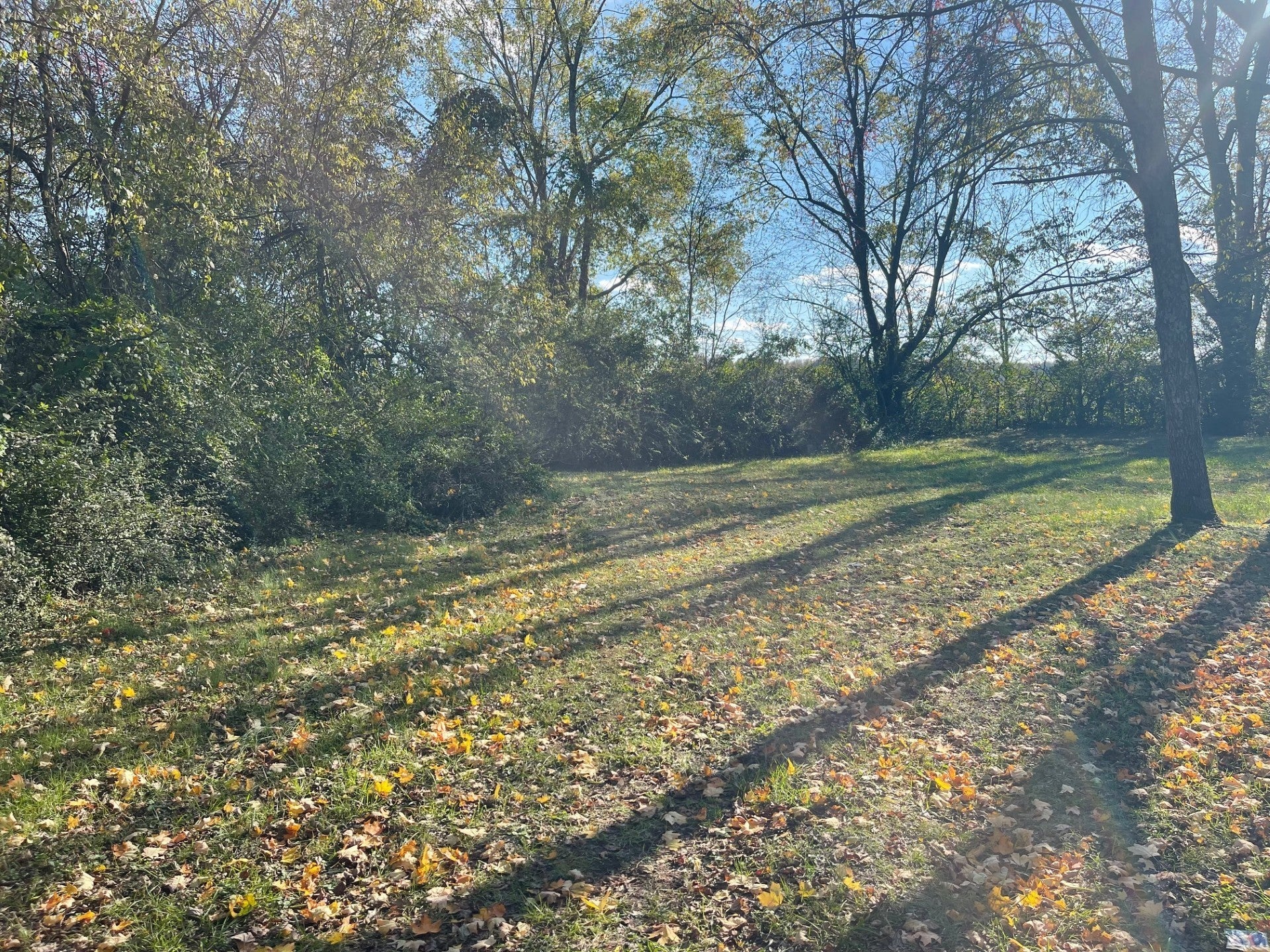 Photo of Listing #3039093