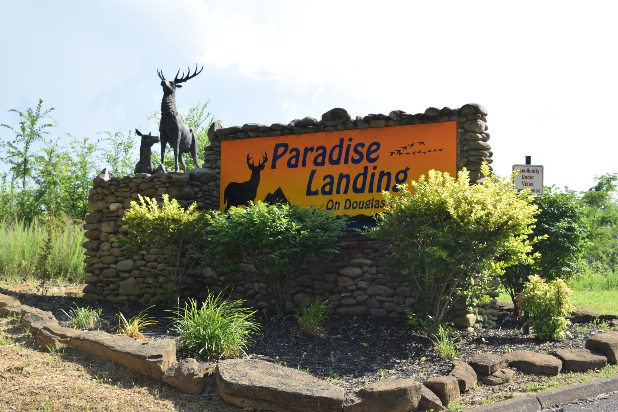 Photo of Listing #3039216