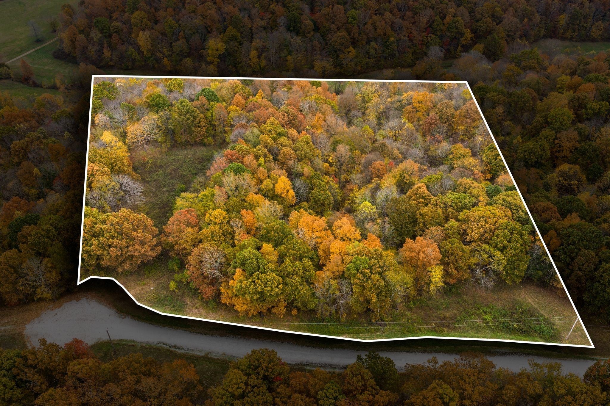 Photo of Listing #3039351