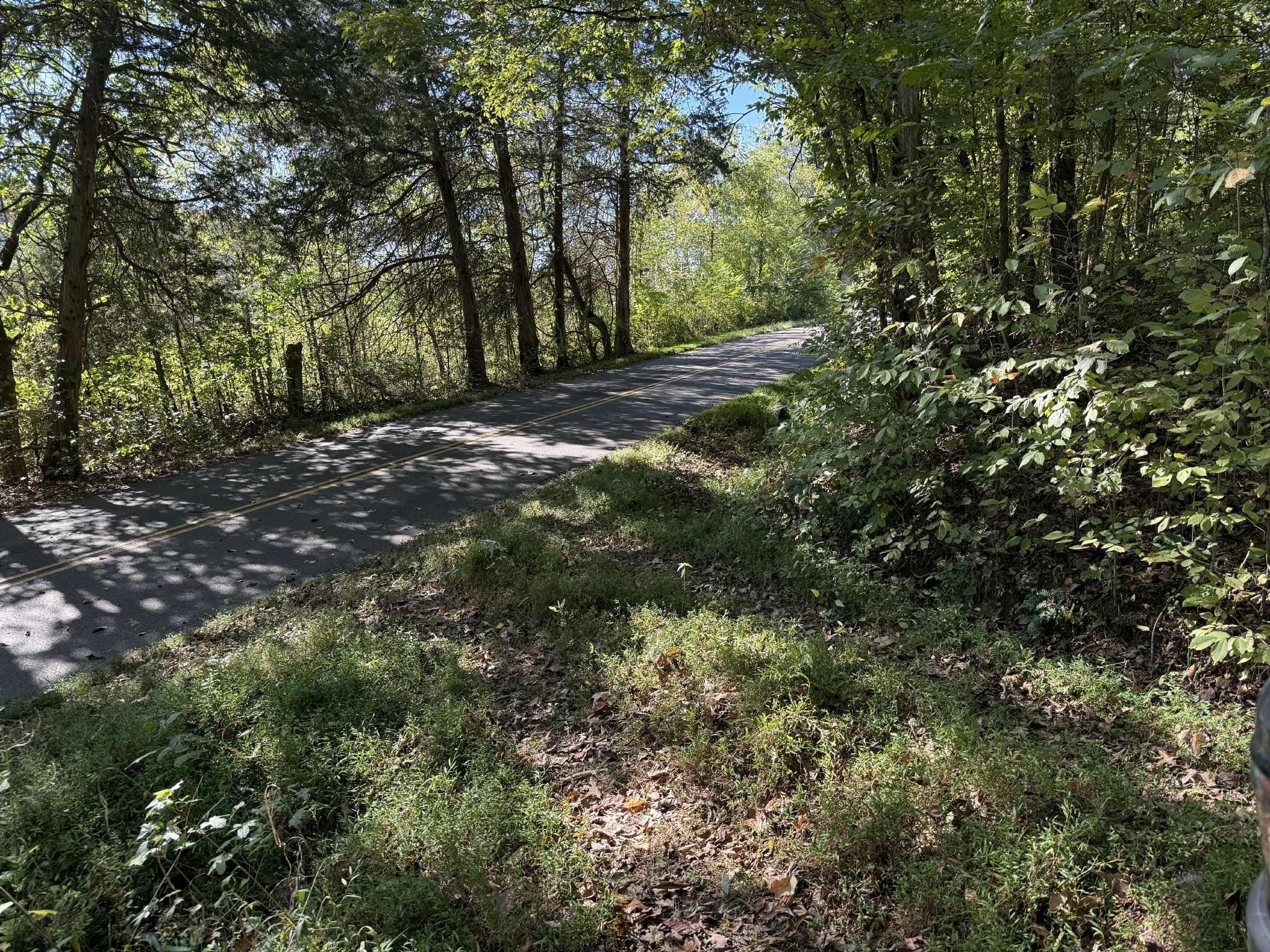 Photo of Listing #3039568