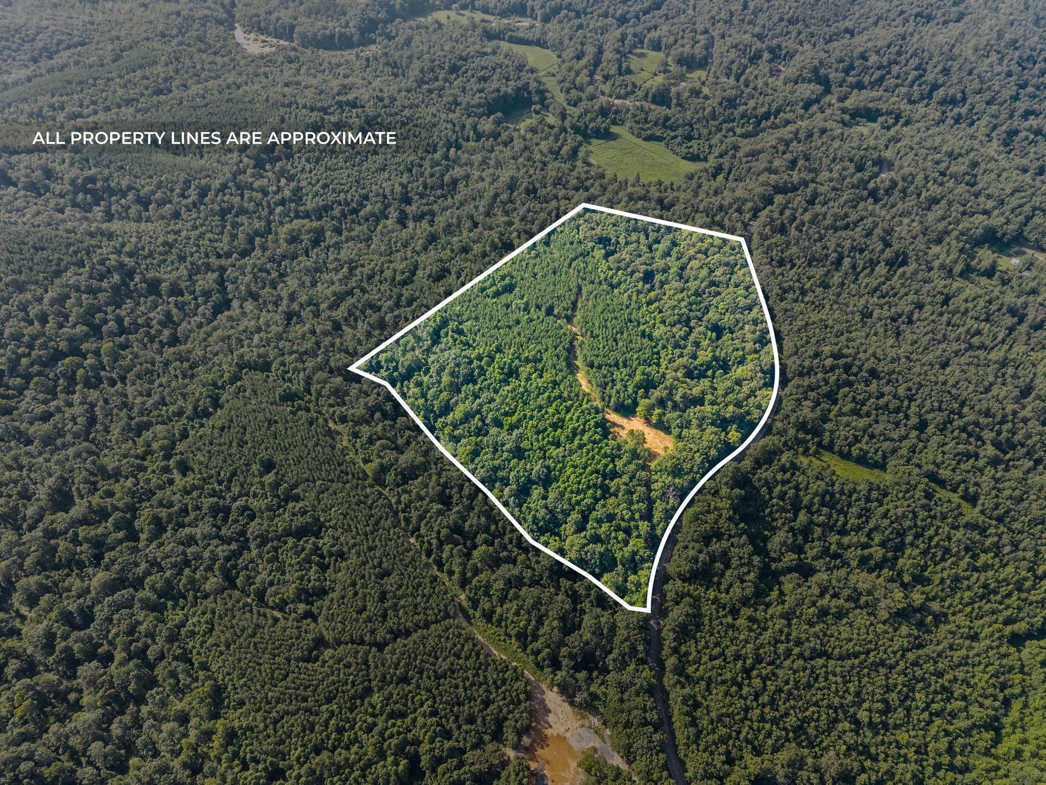 Photo of Listing #3039582