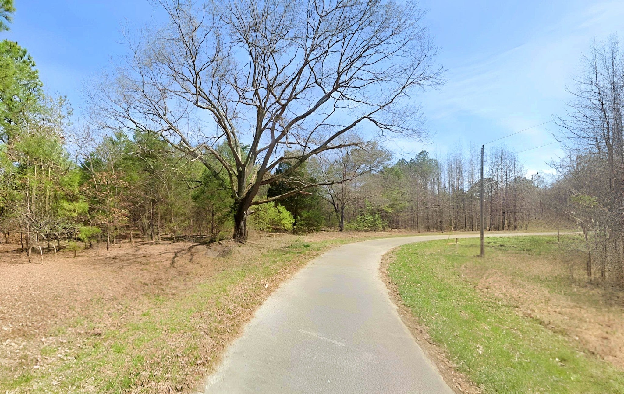 Photo of Listing #3039584