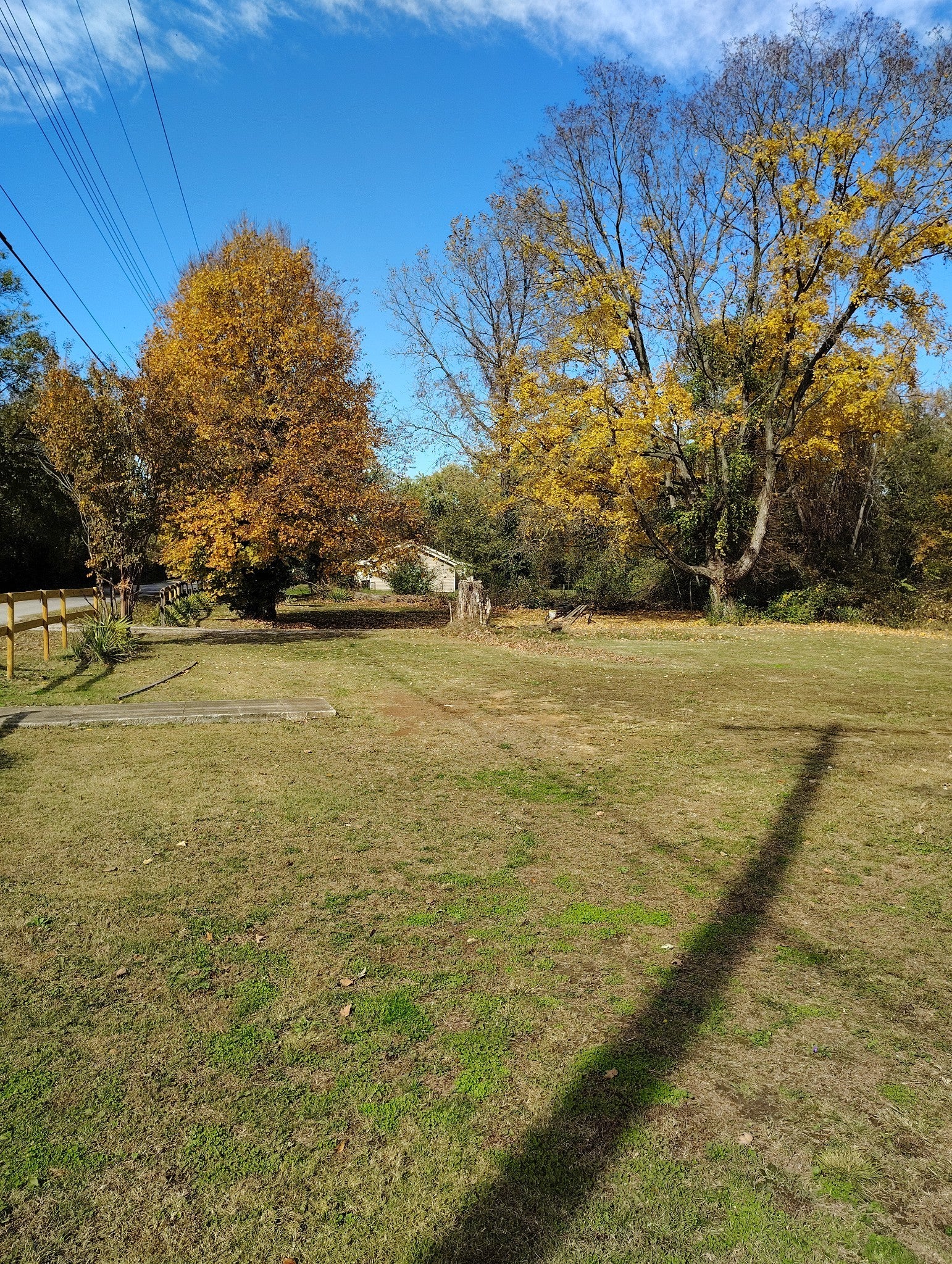 Photo of Listing #3039747