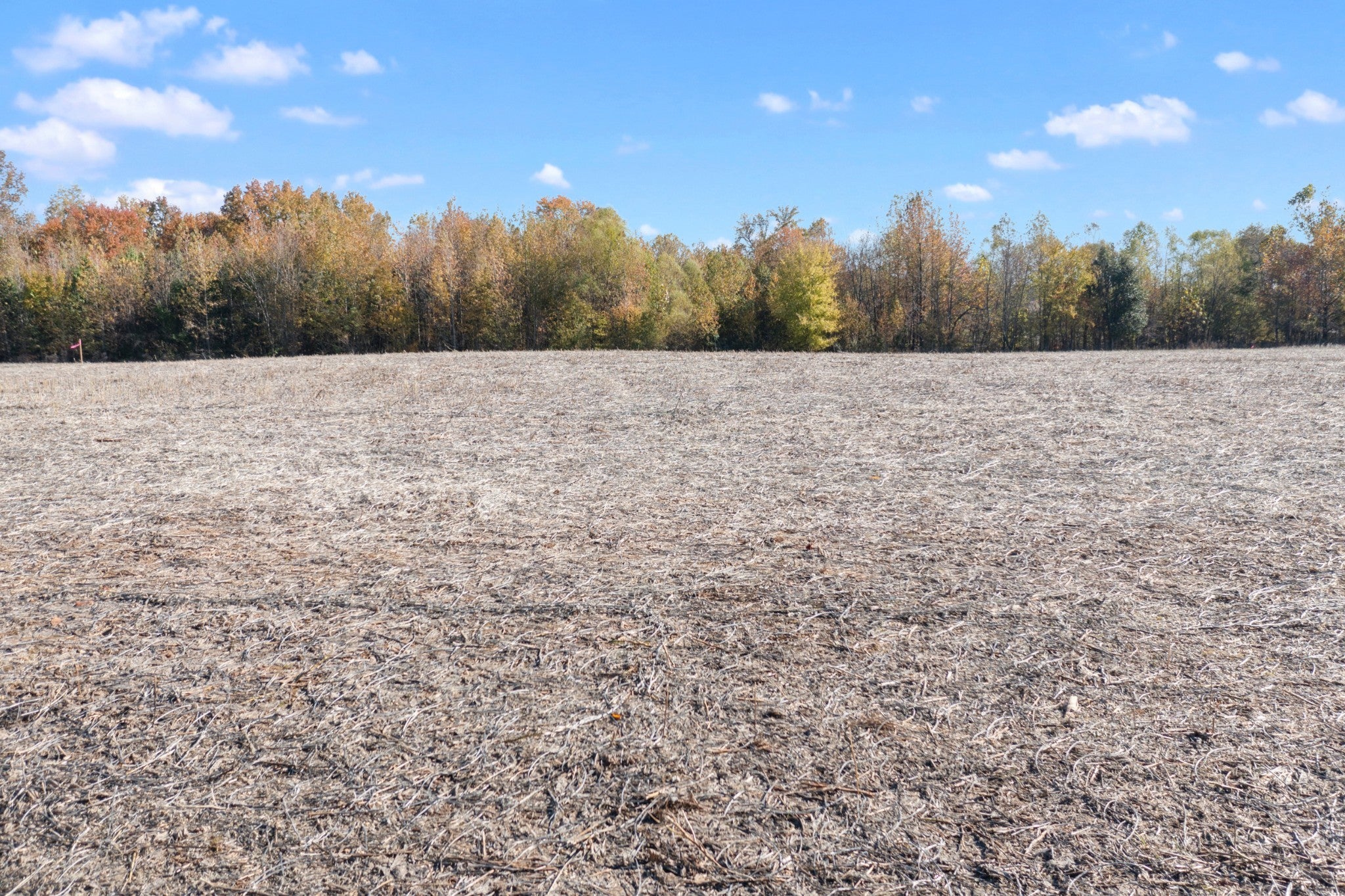 Photo of Listing #3041305