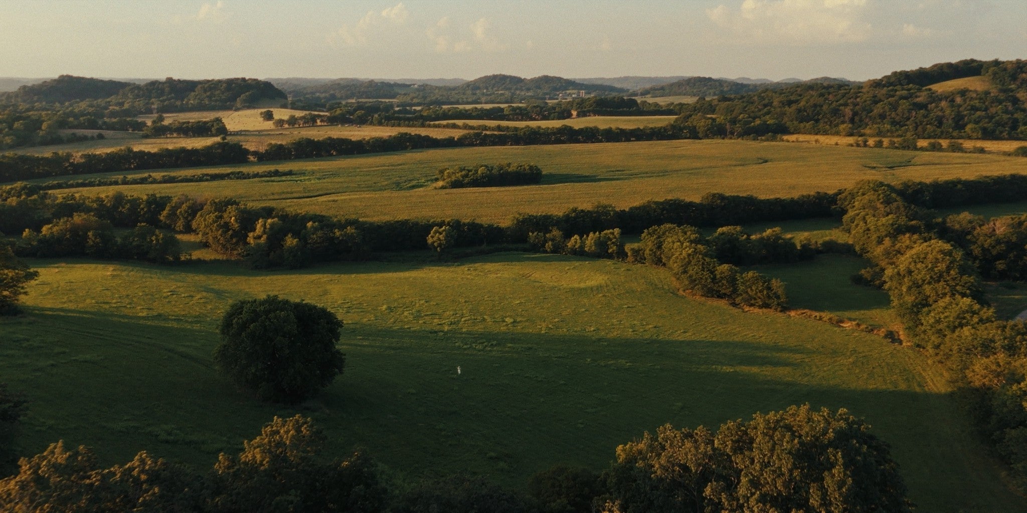 Photo of Listing #3041332