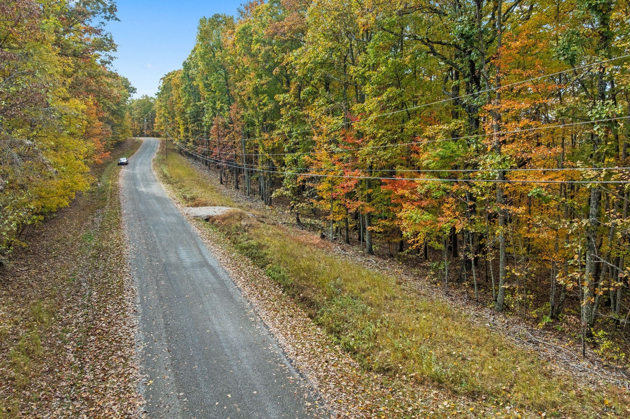 Photo of Listing #3041494