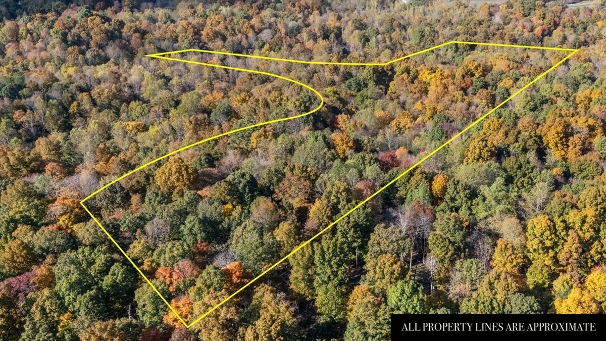 Photo of Listing #3041611