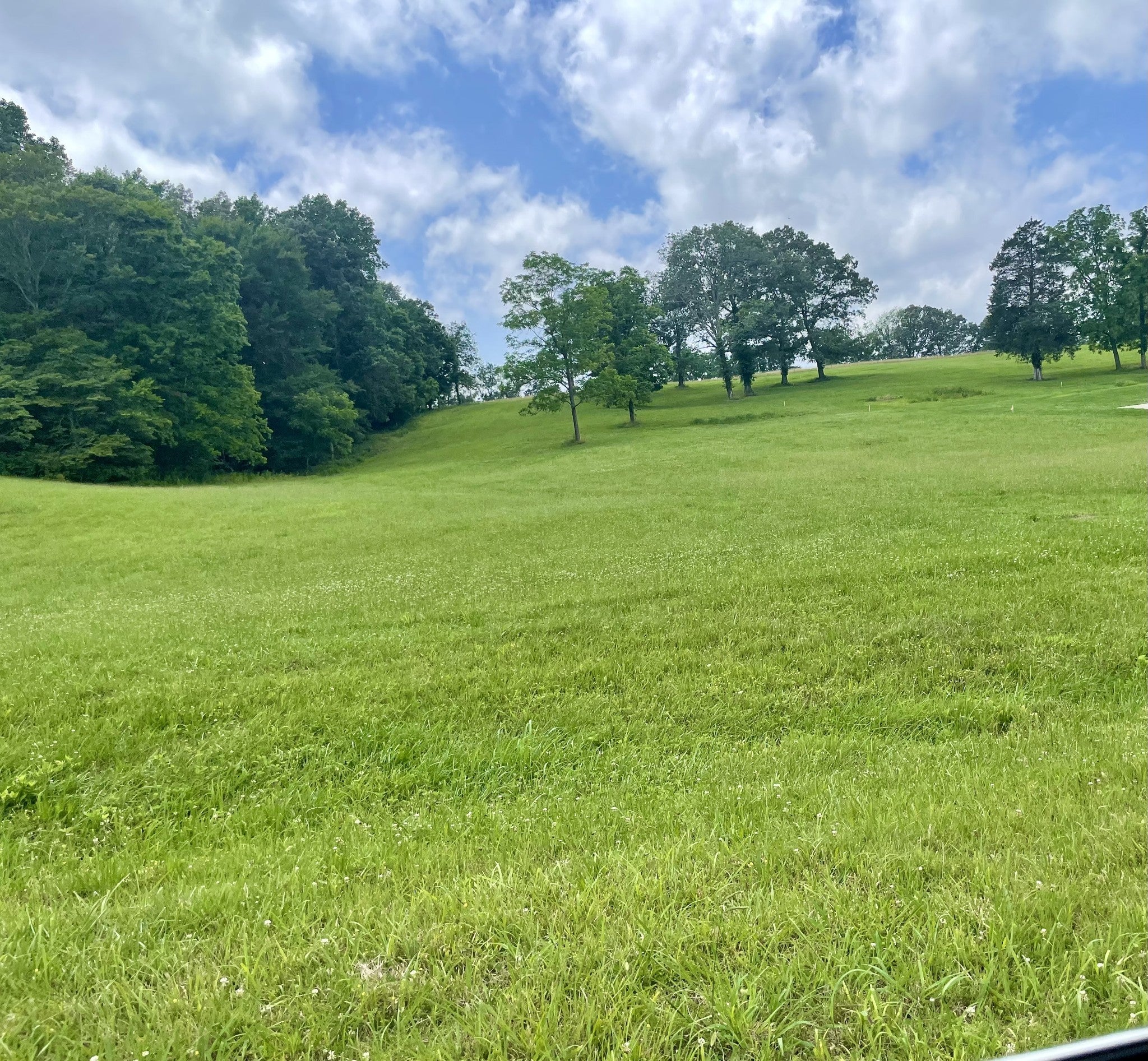 Photo of Listing #3041664