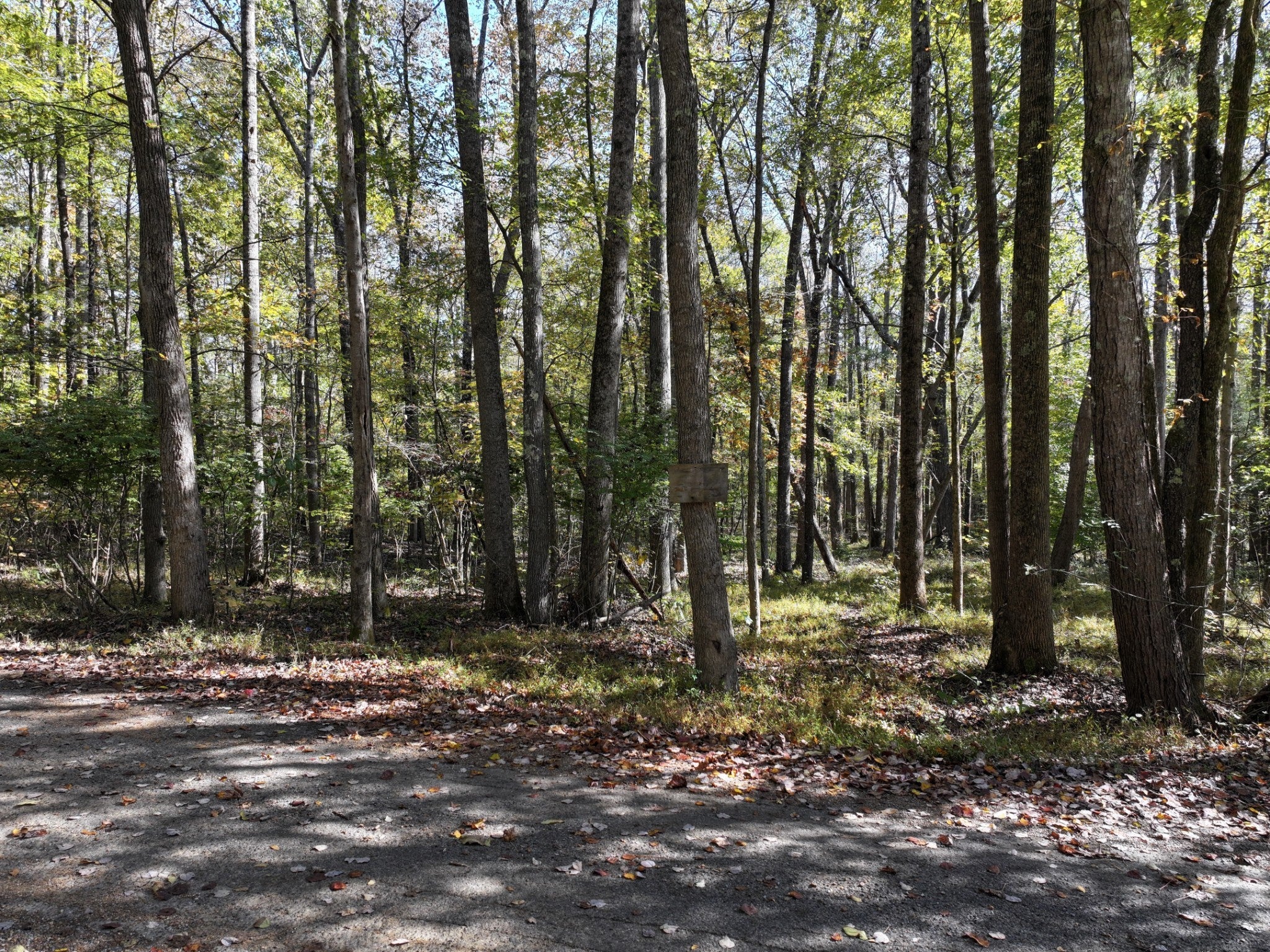 Photo of Listing #3041867