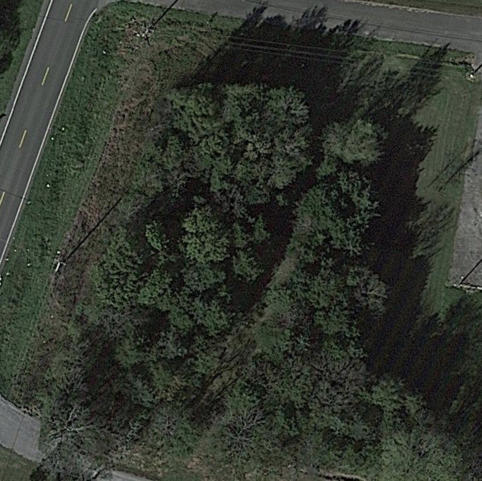 Photo of Listing #3041936