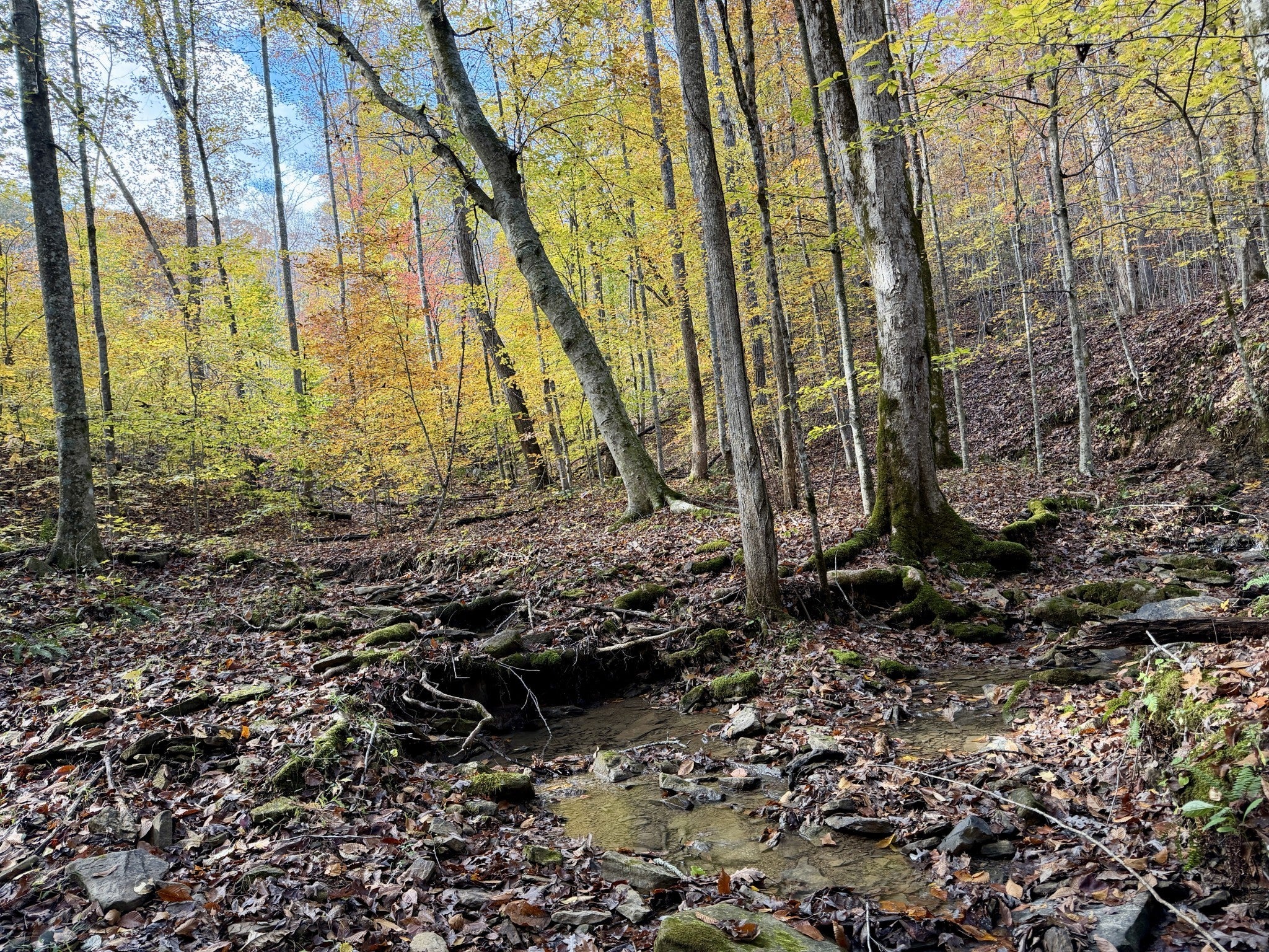 Photo of Listing #3041974